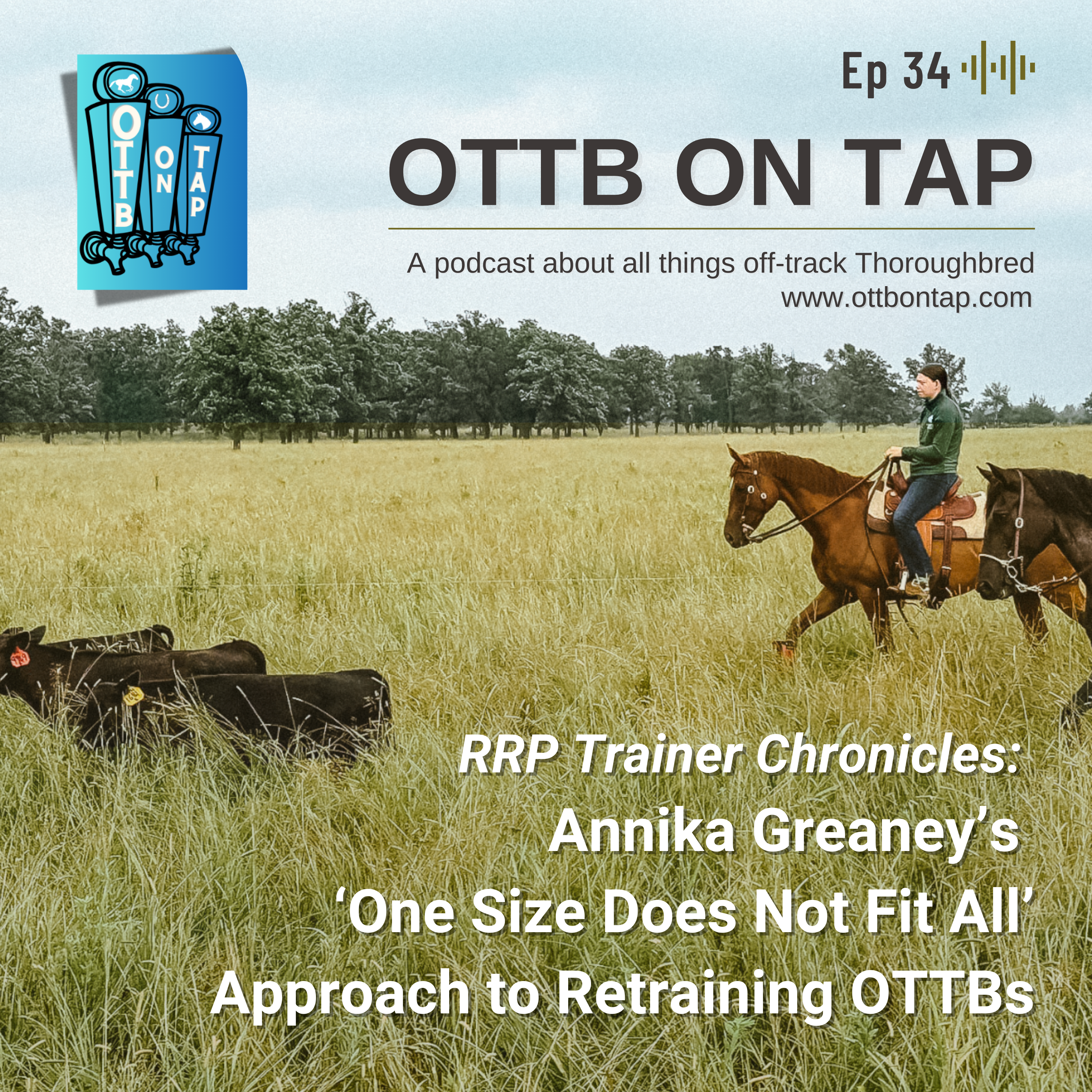 Ep 34: RRP Trainer Chronicles: Annika Greaney's 'One Size Does Not Fit All' Approach to Retraining OTTBs