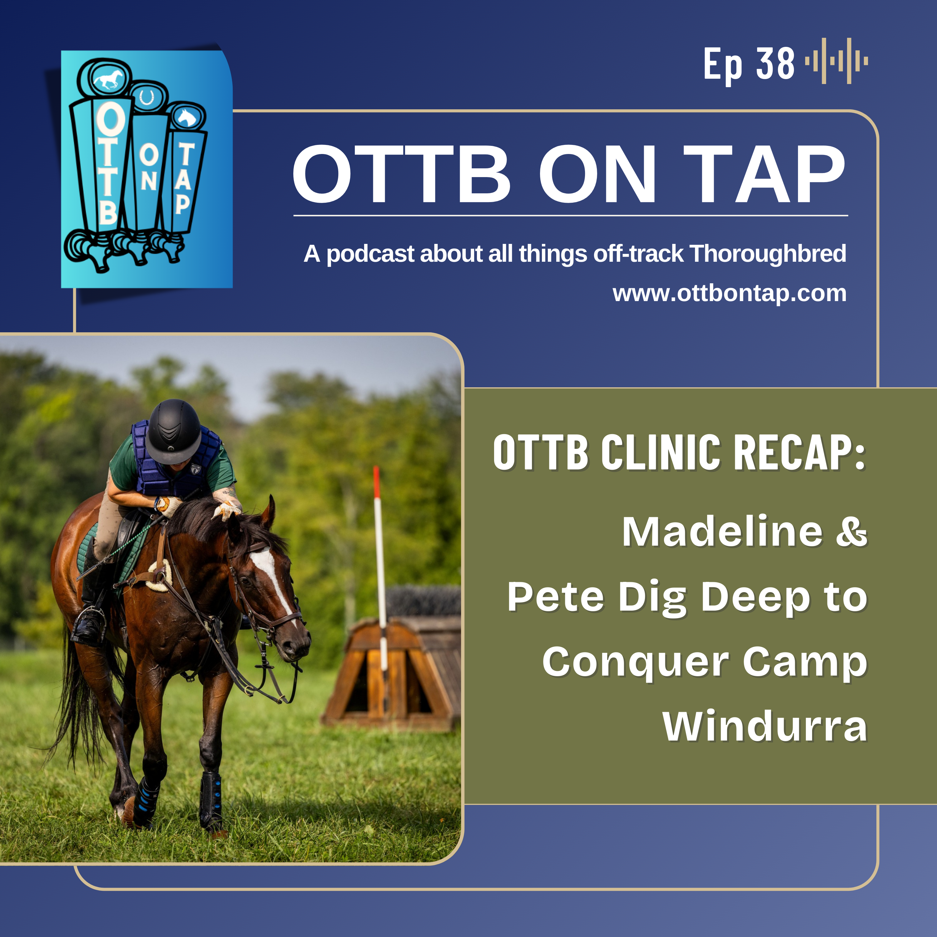 OTTB on Tap