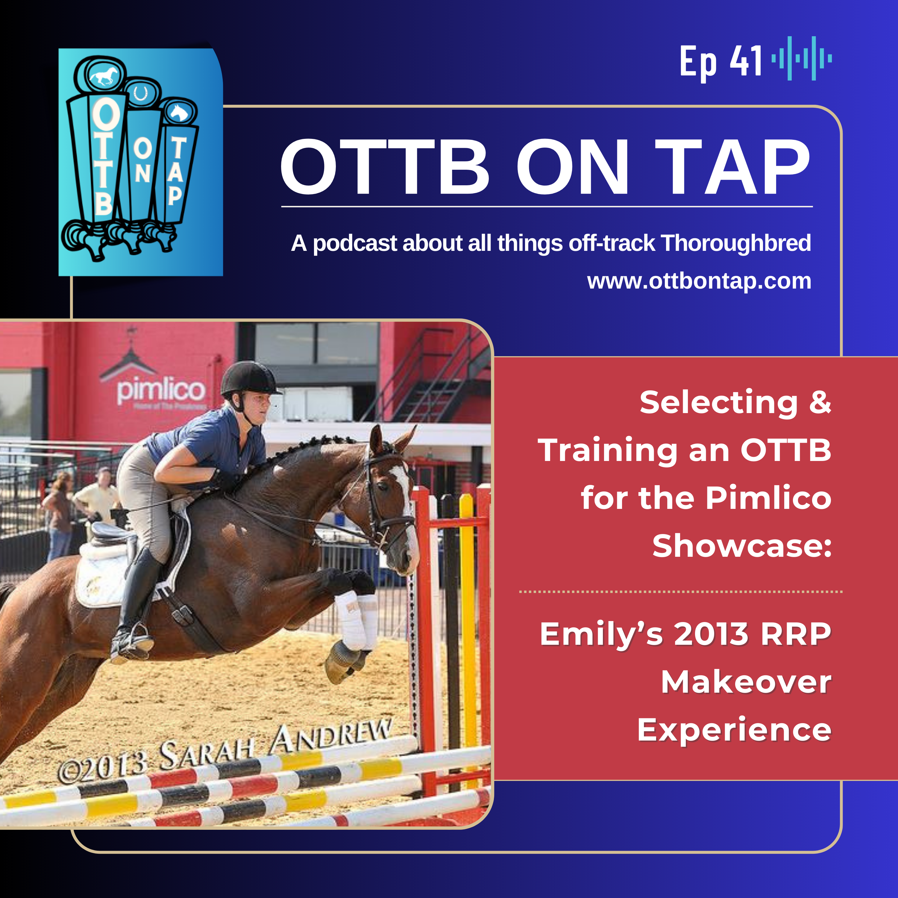 Ep 41: Selecting & Training an OTTB for the Pimlico Showcase: Emily's 2013 RRP Makeover Experience