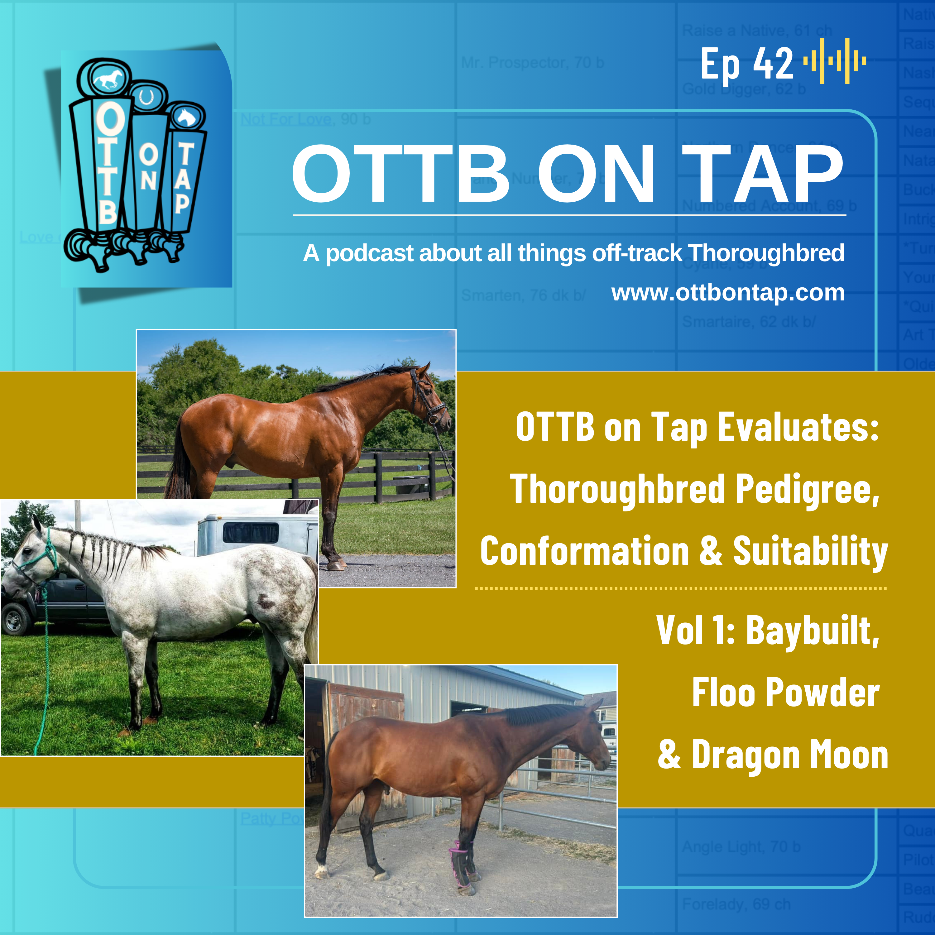 Ep 42: OTTB on Tap Evaluates Thoroughbred Pedigree, Conformation & Suitability Vol 1: Baybuilt, Floo Powder & Dragon Moon