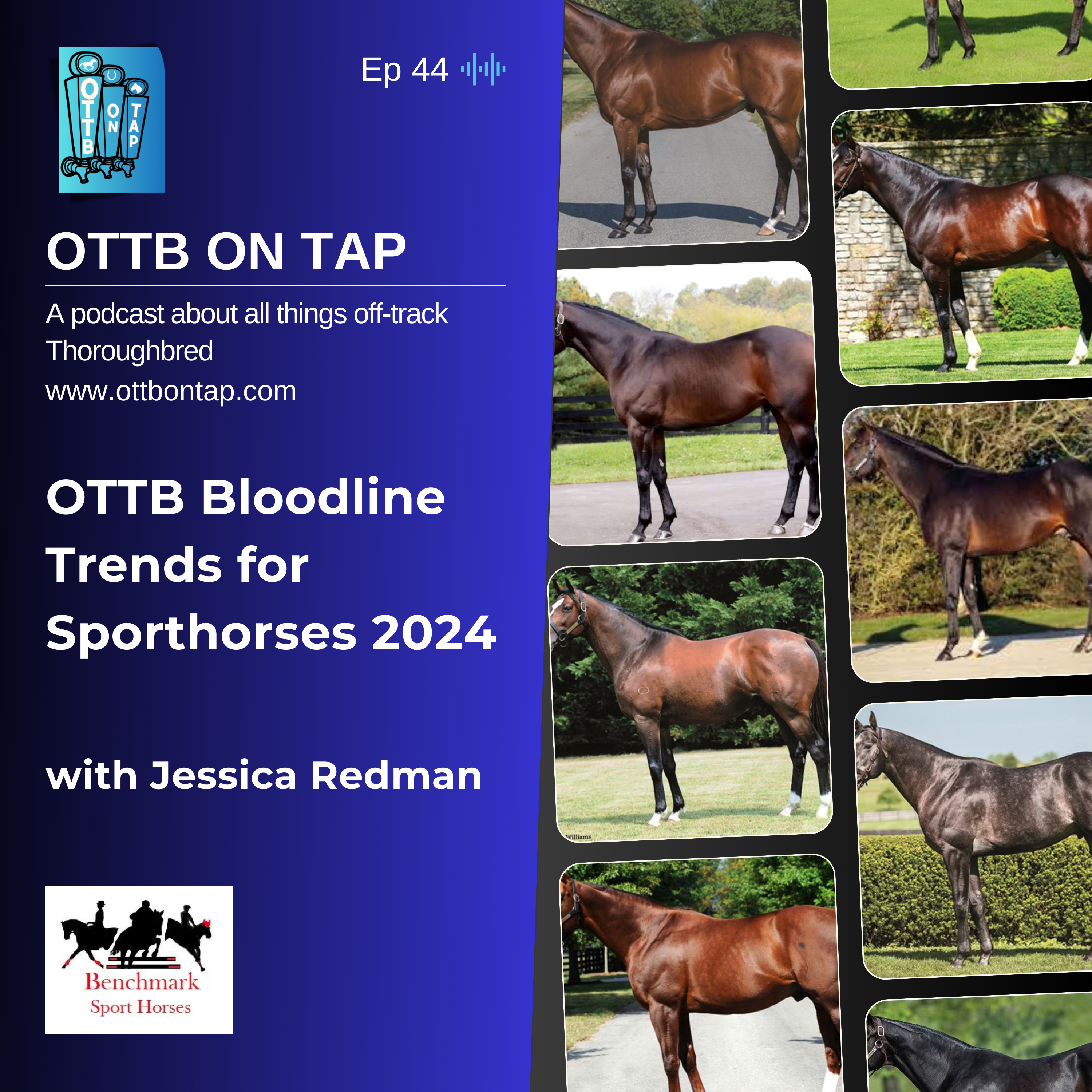 Ep 44: OTTB Bloodline Trends for Sporthorses 2024 with Jessica Redman