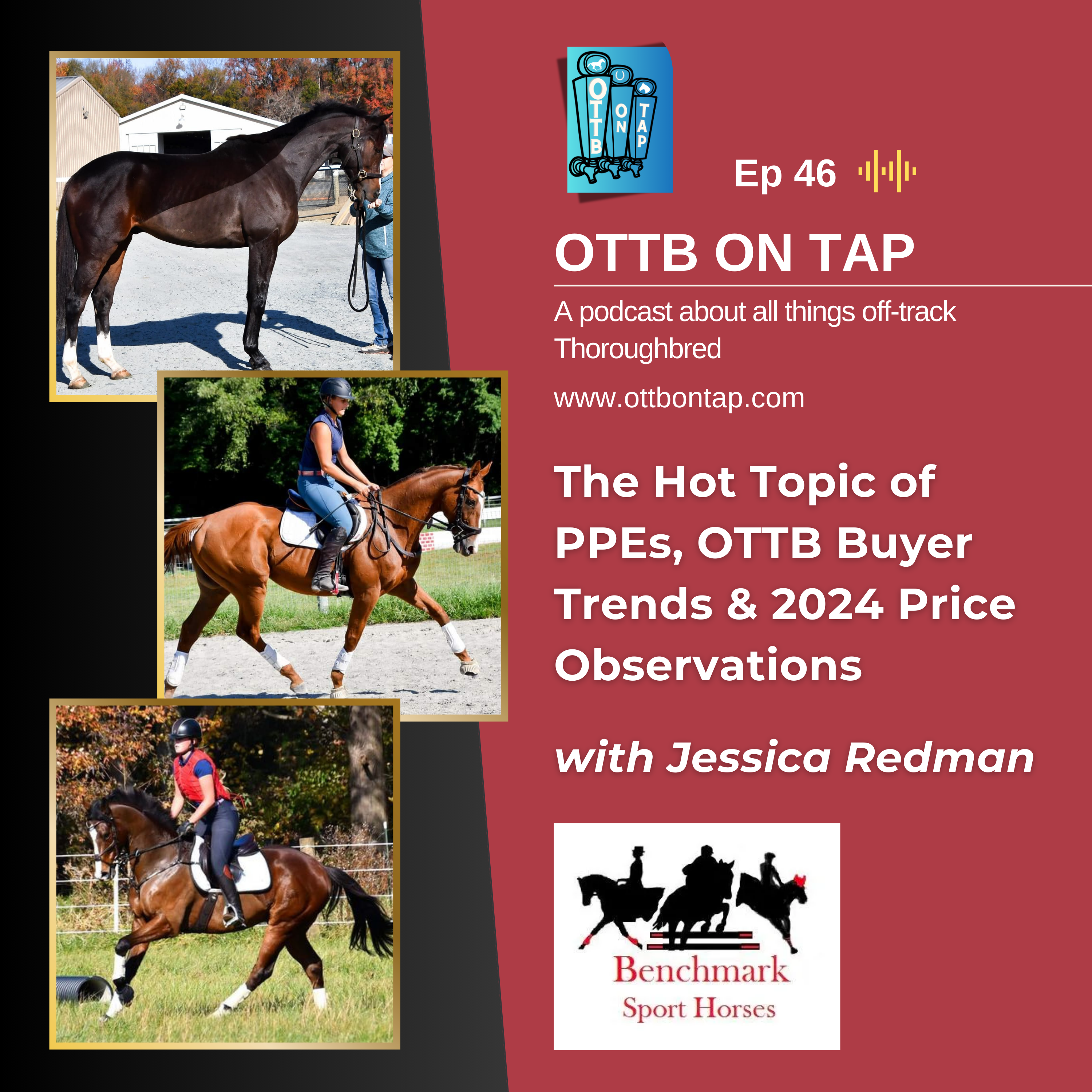 Ep 46: Jessica Redman on the Hot Topic of PPEs, OTTB Buyer Trends & 2024 Price Observations