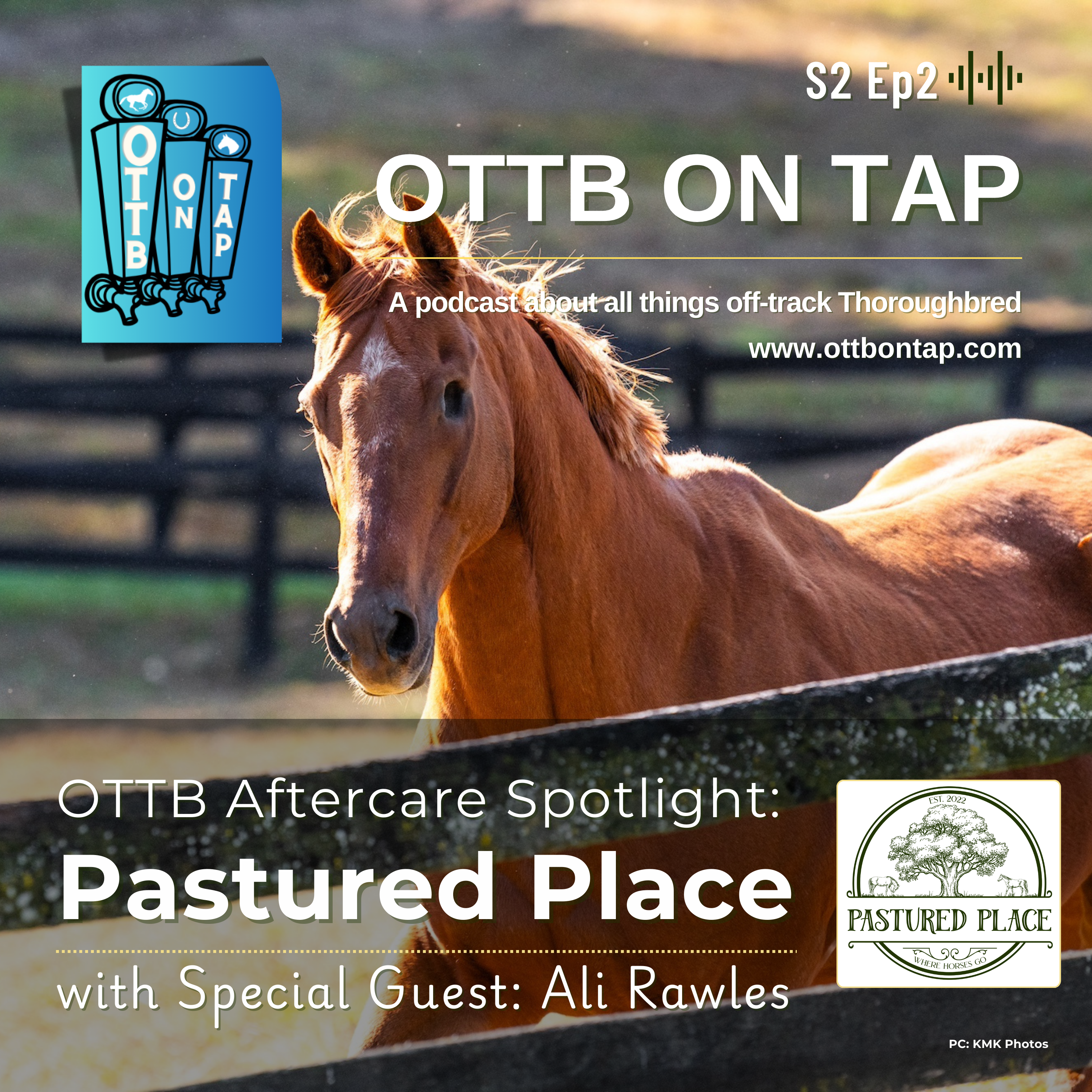 S2 E2: OTTB Aftercare Spotlight: Pastured Place with Special Guest Ali Rawles