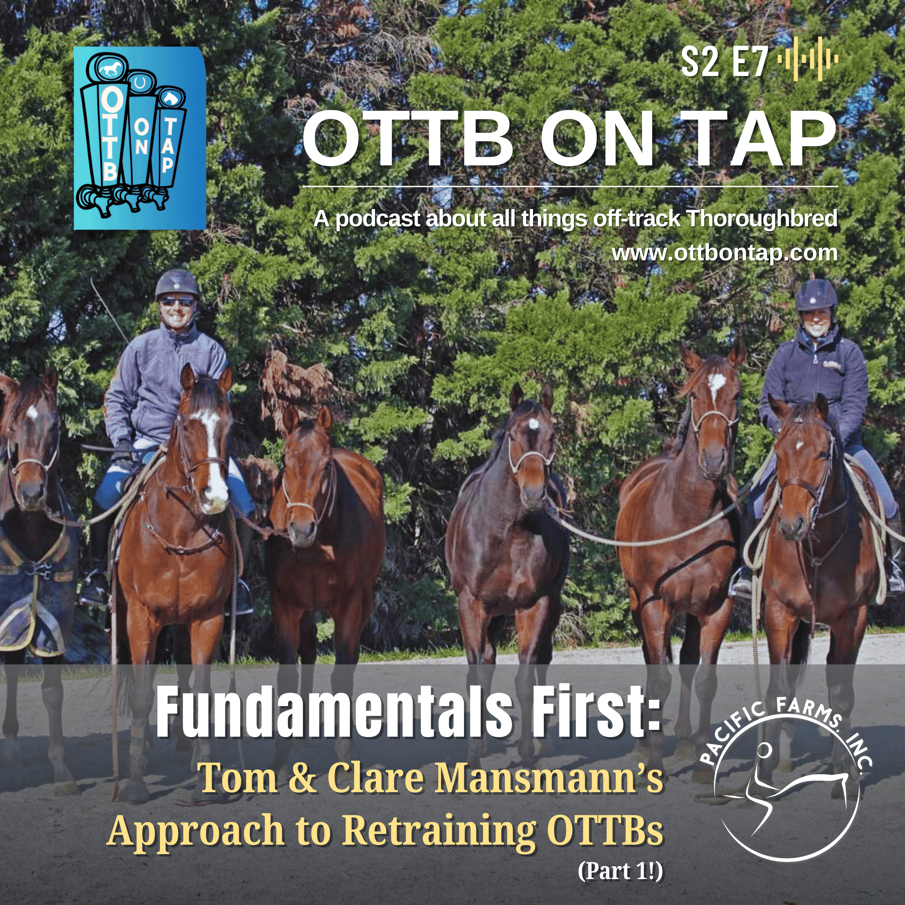 OTTB on Tap