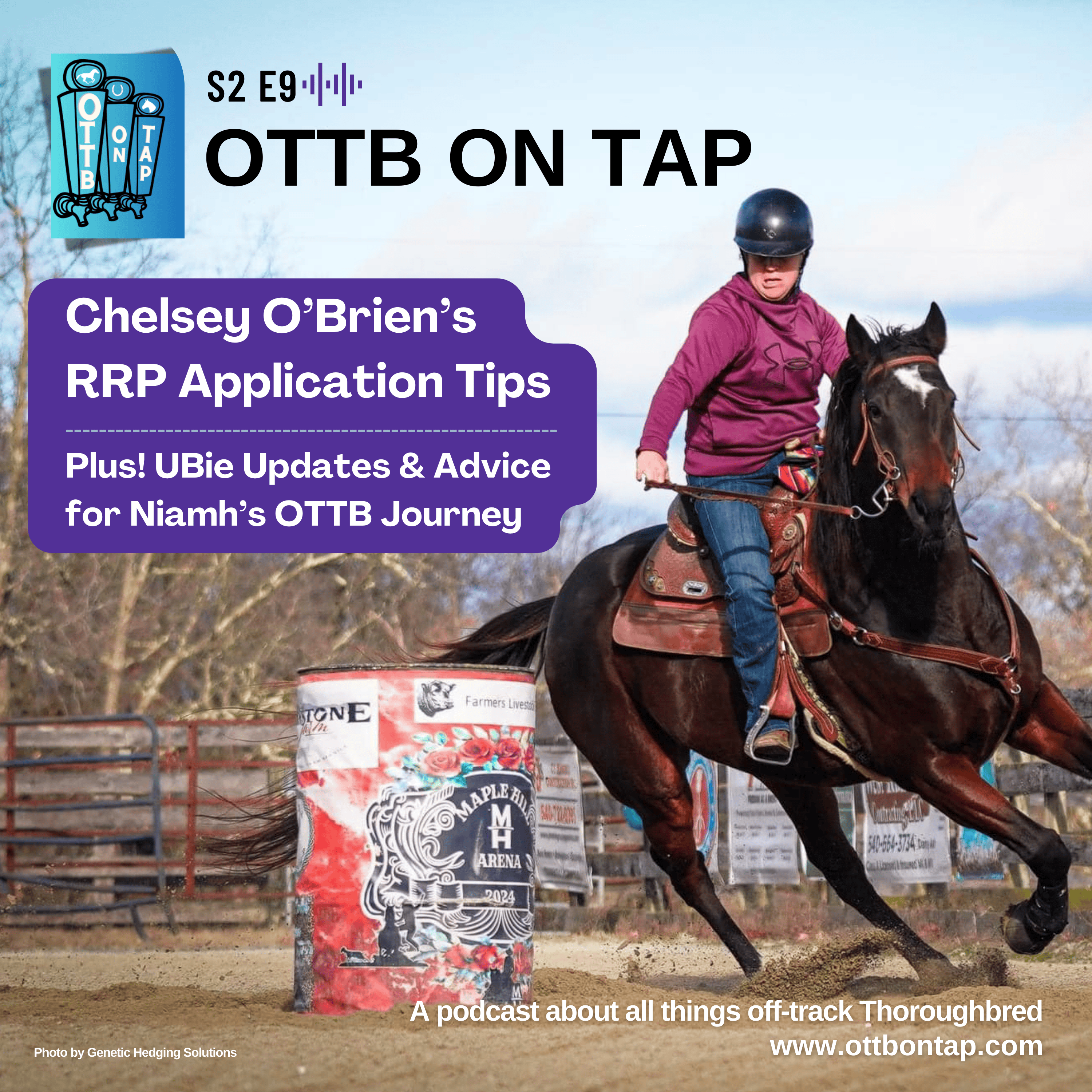 S2 E9: Chelsey O’Brien’s RRP Application Tips, UBie Updates & Advice for Niamh’s OTTB Journey