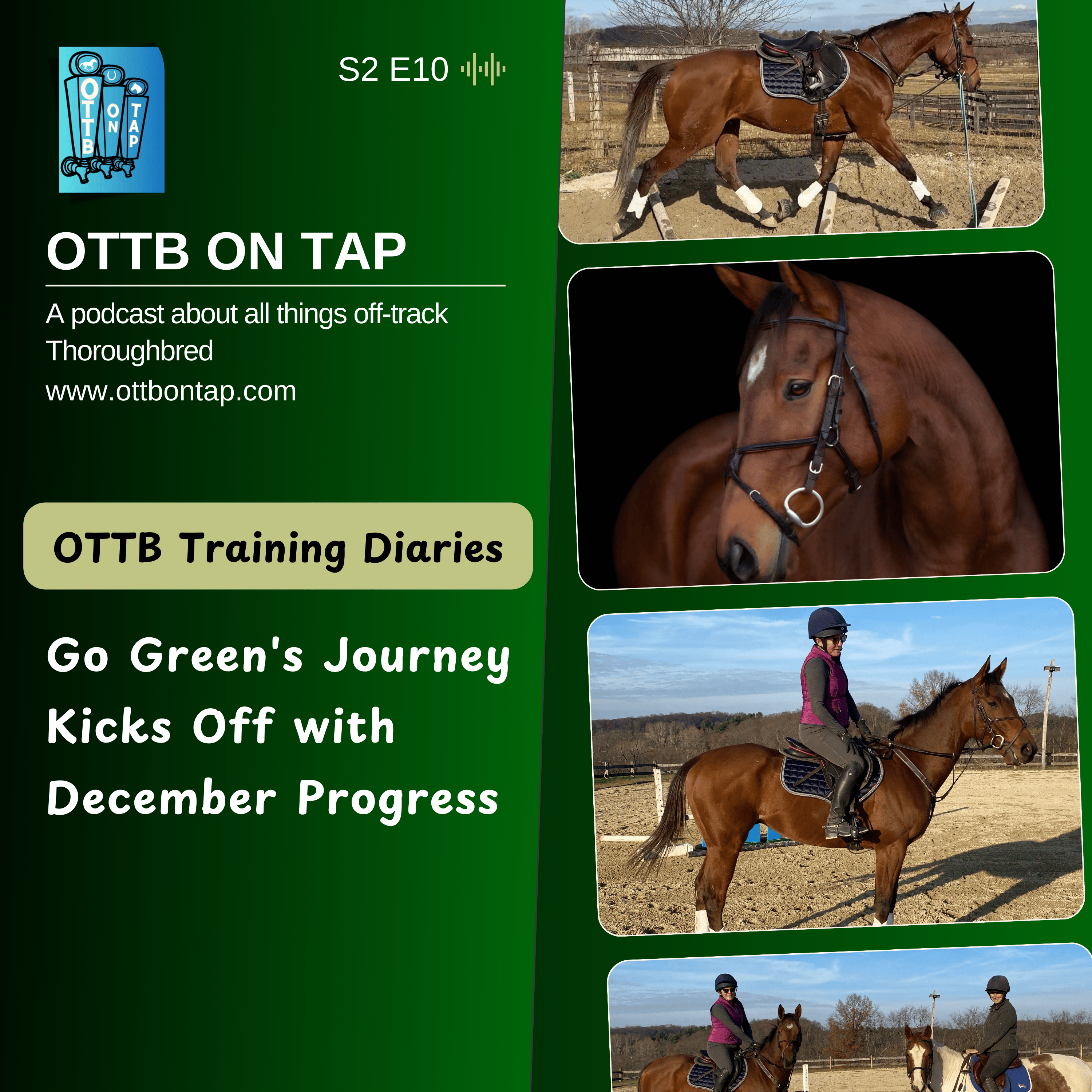 OTTB on Tap