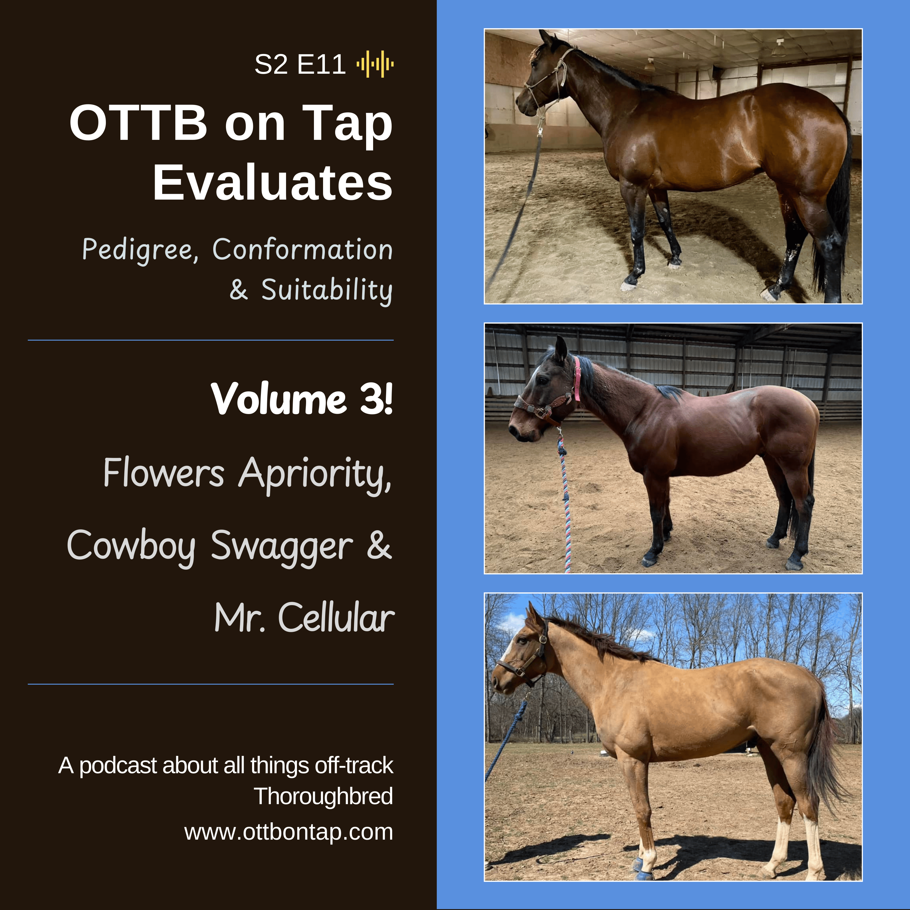 S2E11: OTTB on Tap Evaluates Vol 3 - Flowers Apriority, Cowboy Swagger and Mr. Cellular