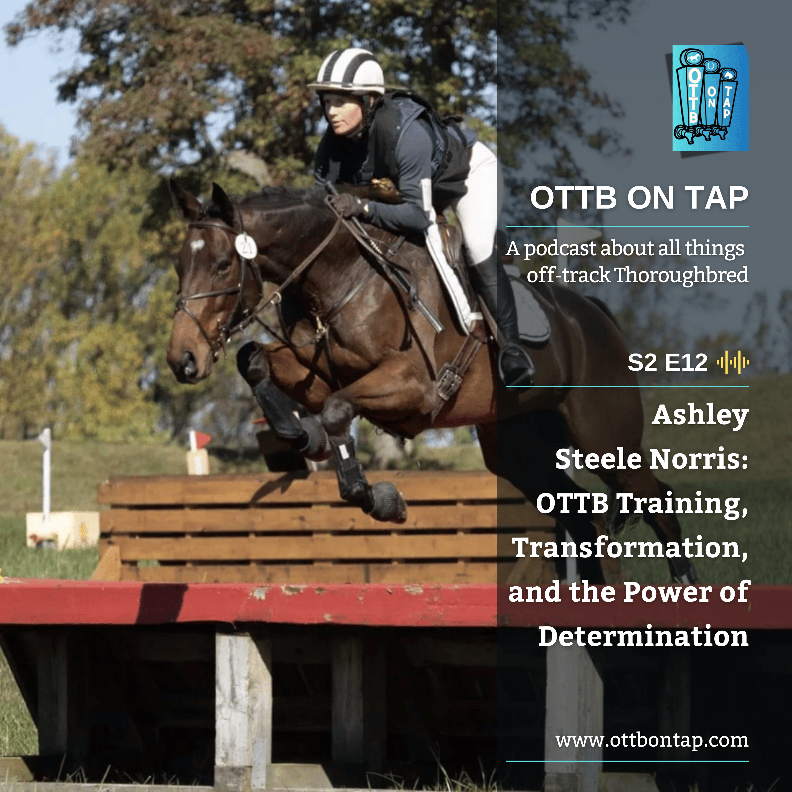 OTTB on Tap