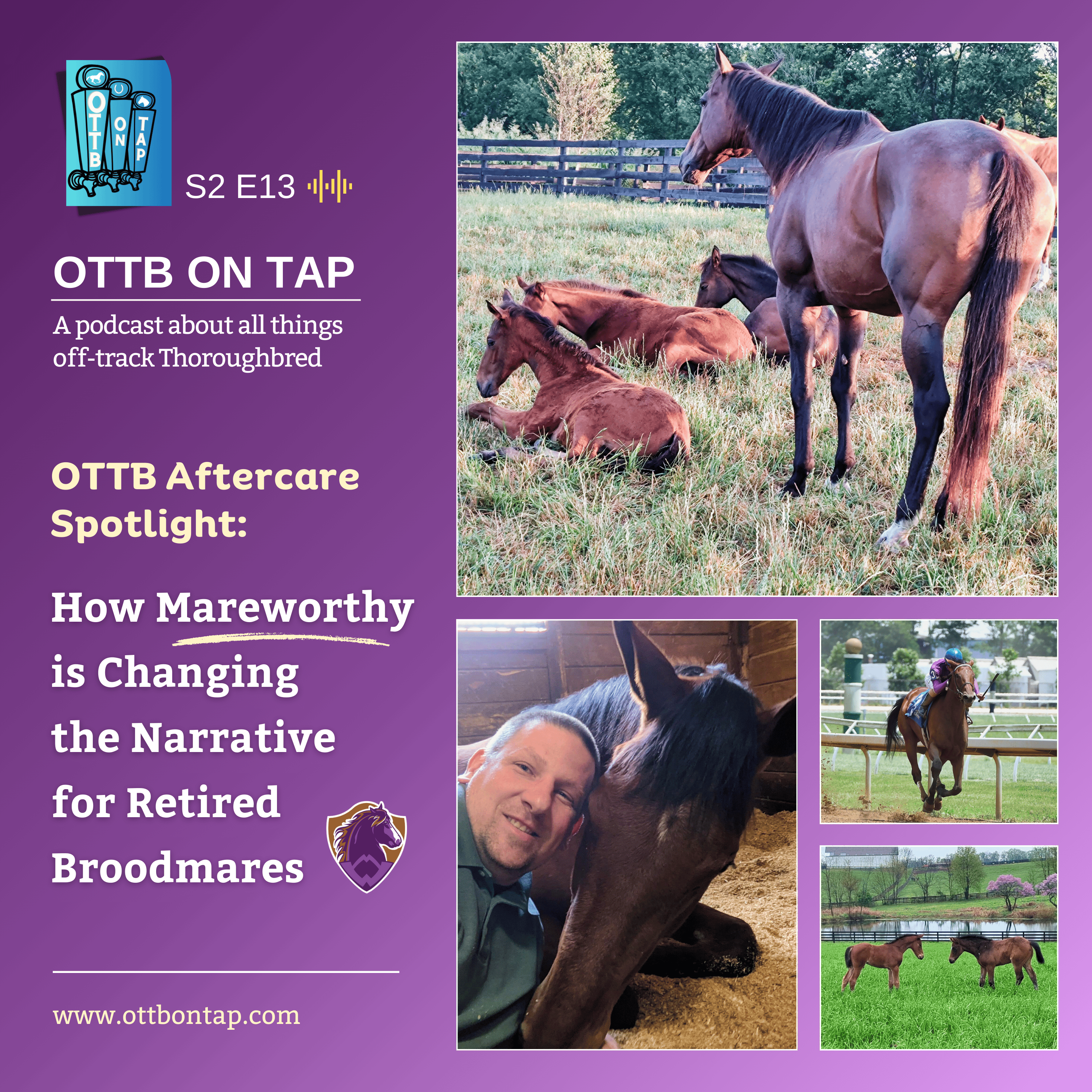 OTTB on Tap