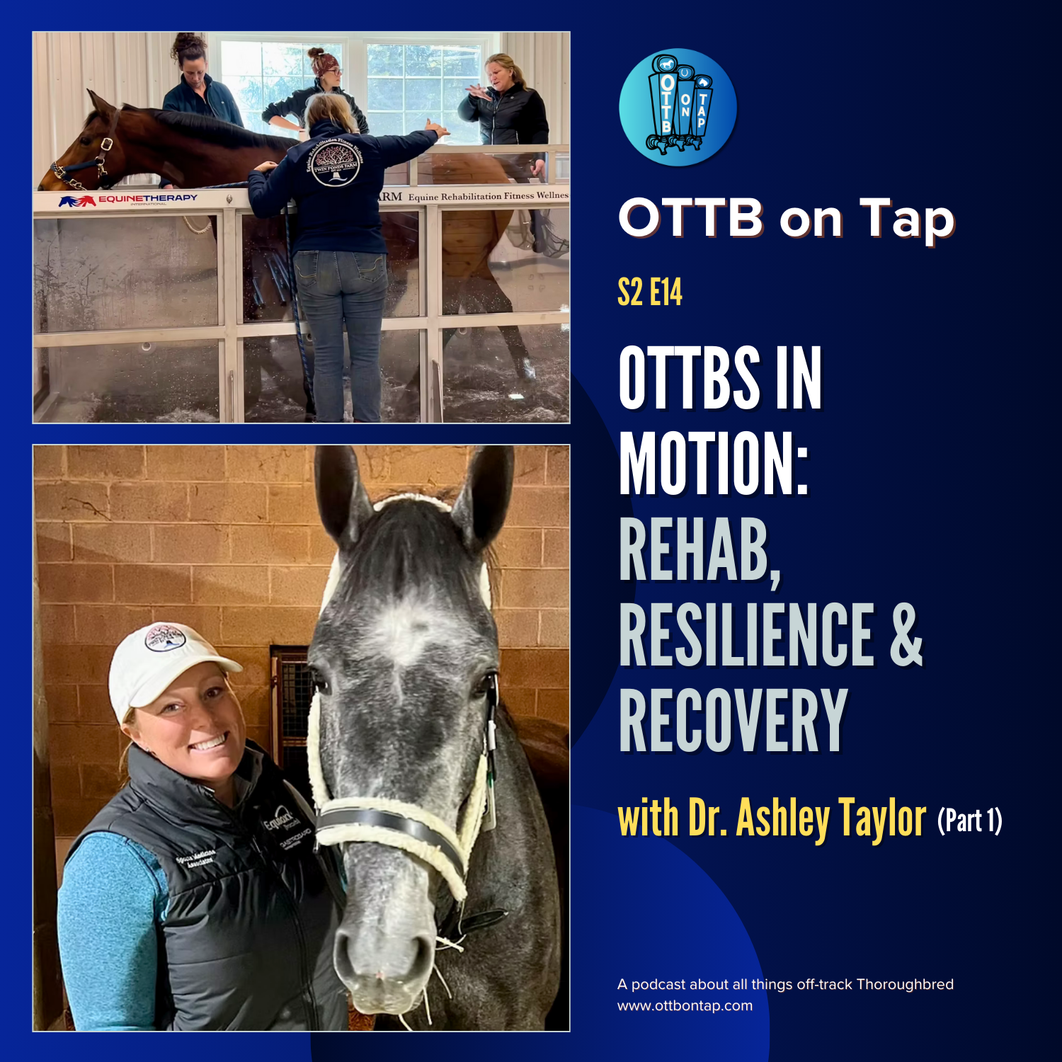 OTTB on Tap