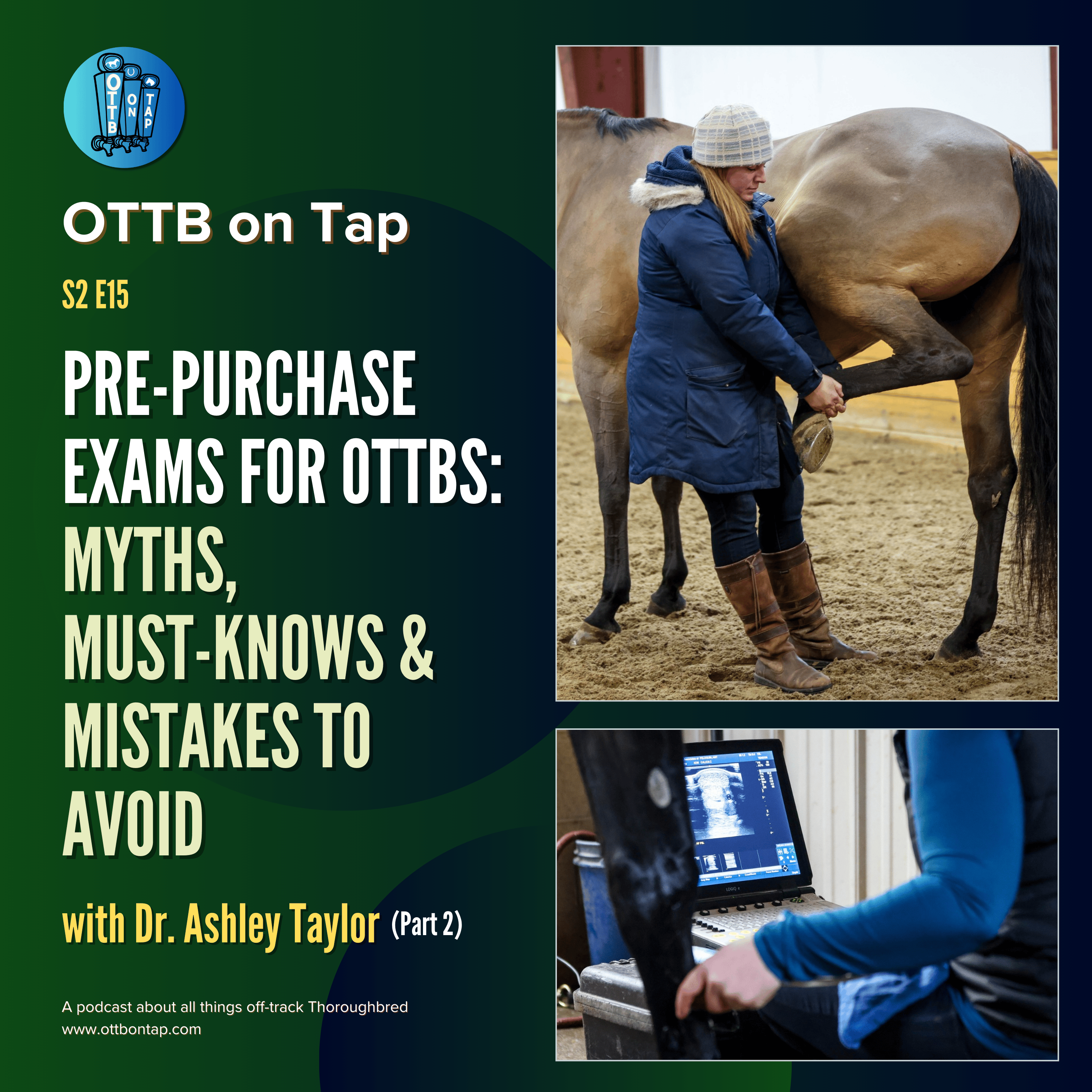 S2 E15: Pre-Purchase Exams for OTTBs: Myths, Must-Knows & Mistakes to Avoid with Dr. Ashley Taylor (Part 2)