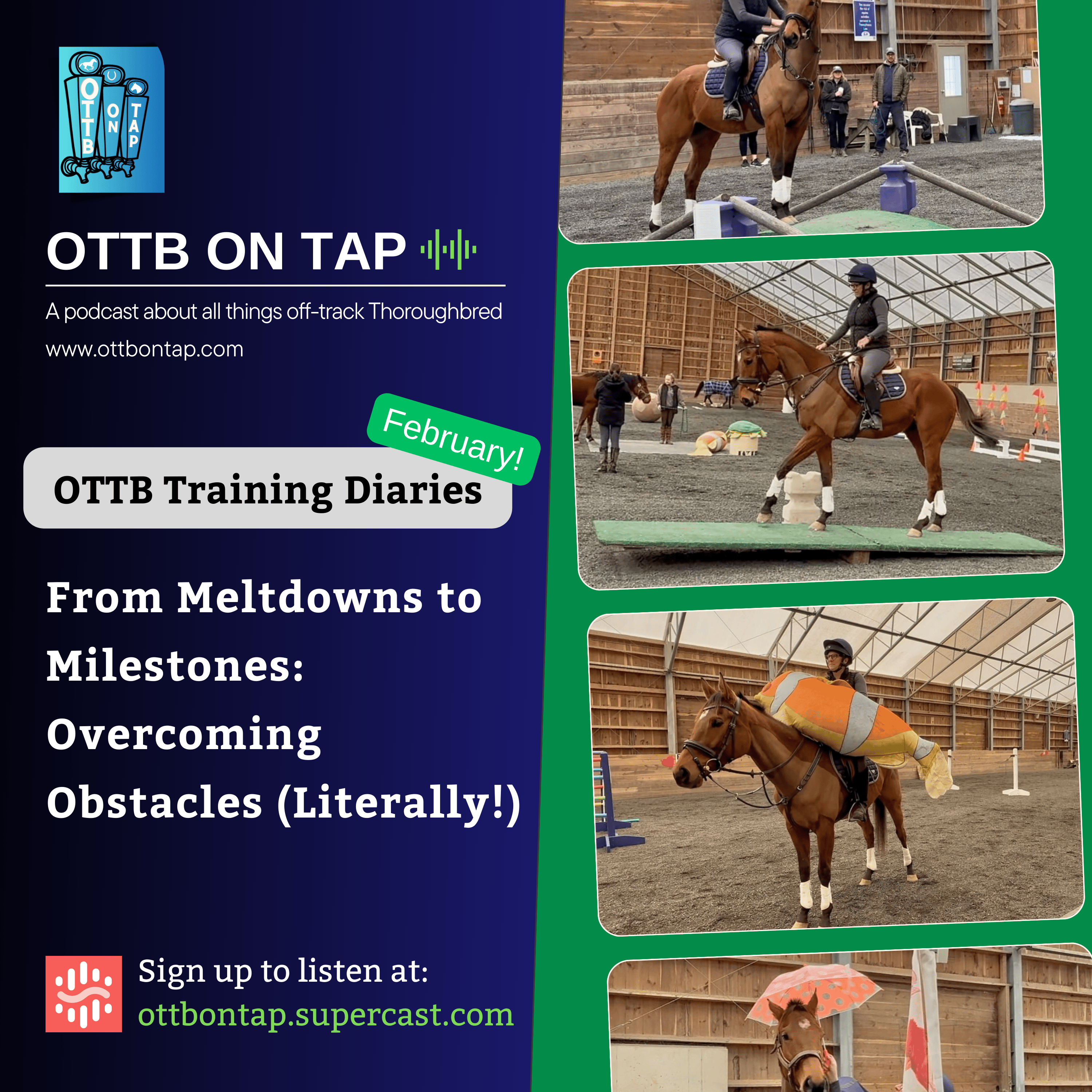 OTTB on Tap