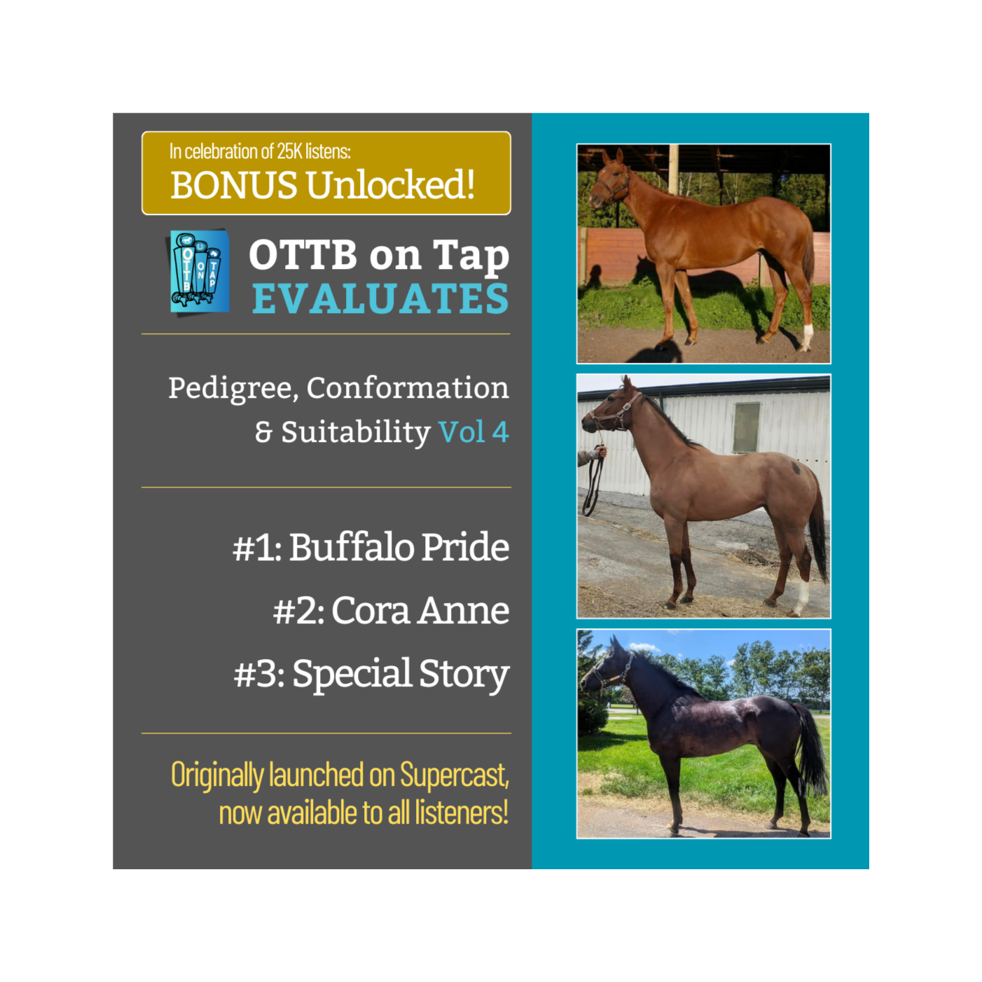 S2 E22: BONUS: Unlocked! OTTB on Tap Evaluates Vol. 4 β From Lightly Raced to Warhorses S2 E22: BONUS: Unlocked! OTTB on Tap Evaluates Vol. 4 β From Lightly Raced to Warhorses