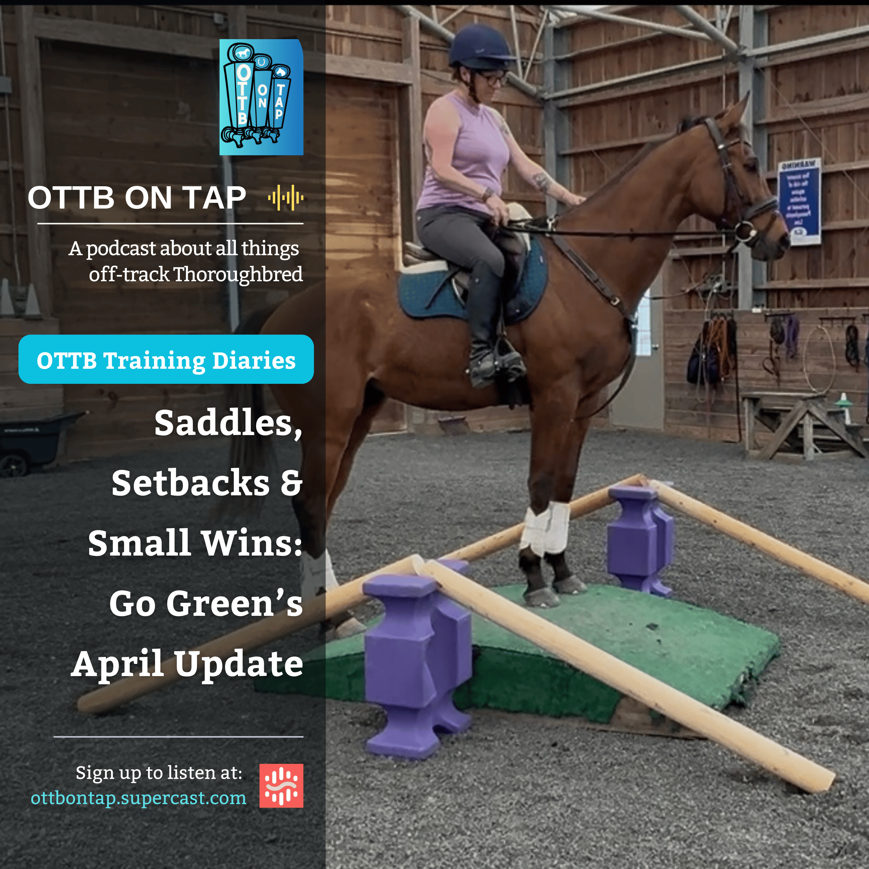 🎙 Preview: OTTB Training Diaries: Saddles, Setbacks & Small Wins – Go Green’s April Update 🎙 Preview: OTTB Training Diaries: Saddles, Setbacks & Small Wins – Go Green’s April Update