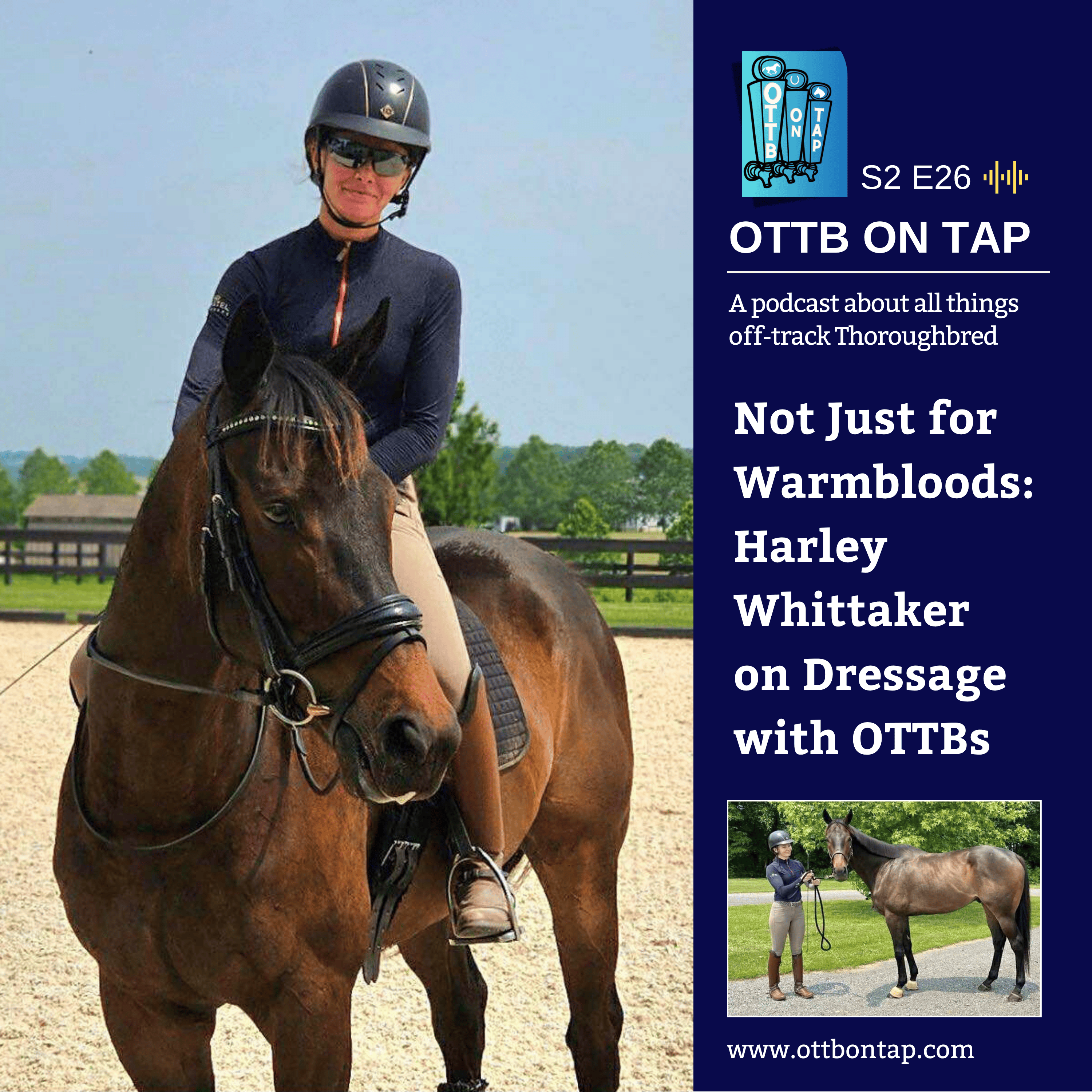 S2 E26: Not Just for Warmbloods: Harley Whittaker on Dressage with OTTBs S2 E26: Not Just for Warmbloods: Harley Whittaker on Dressage with OTTBs