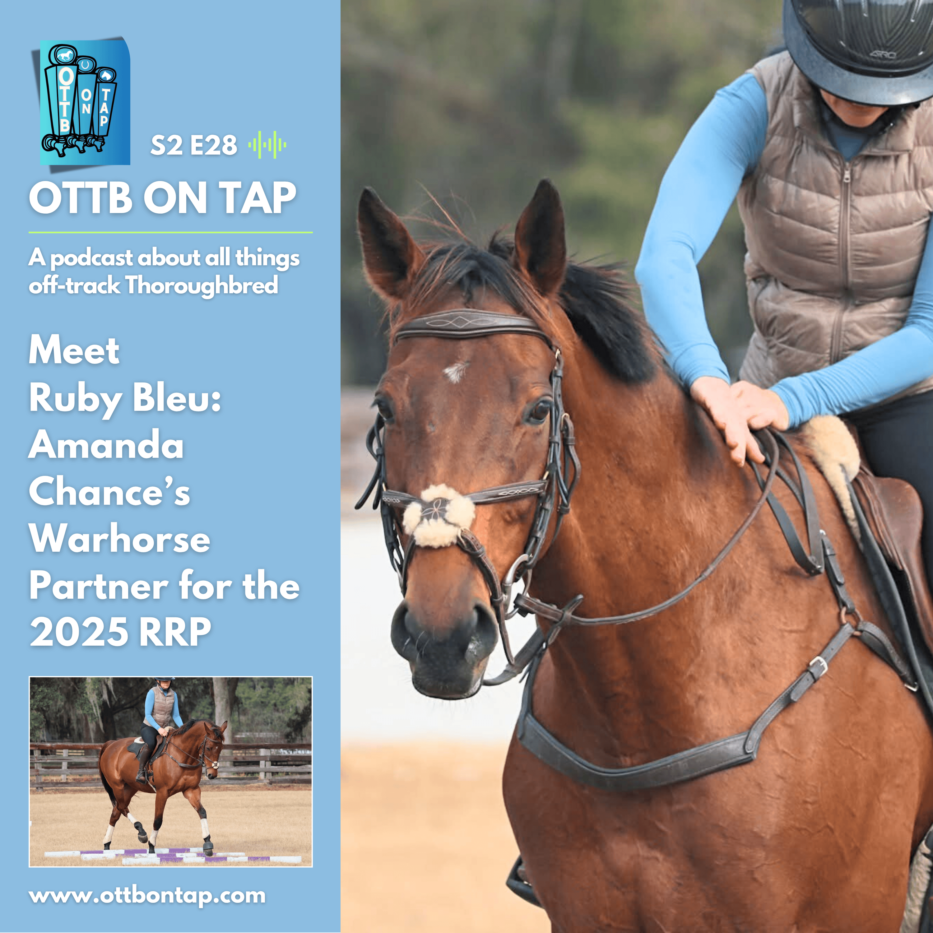 S2 E28: Meet Ruby Bleu: Amanda Chance’s Warhorse Partner for the 2025 RRP S2 E28: Meet Ruby Bleu: Amanda Chance’s Warhorse Partner for the 2025 RRP
