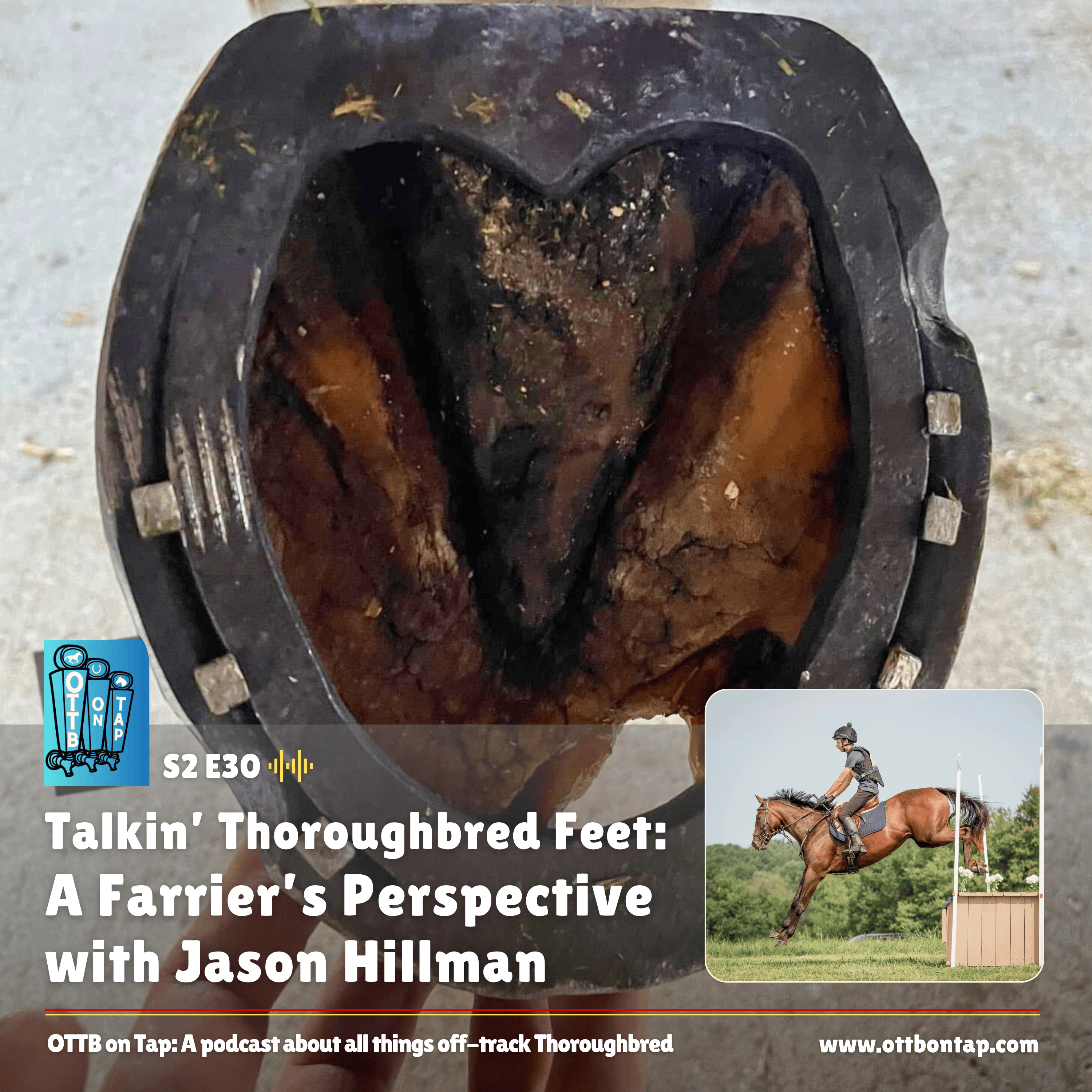 S2 E30: Talkin’ Thoroughbred Feet: A Farrier’s Perspective with Jason Hillman