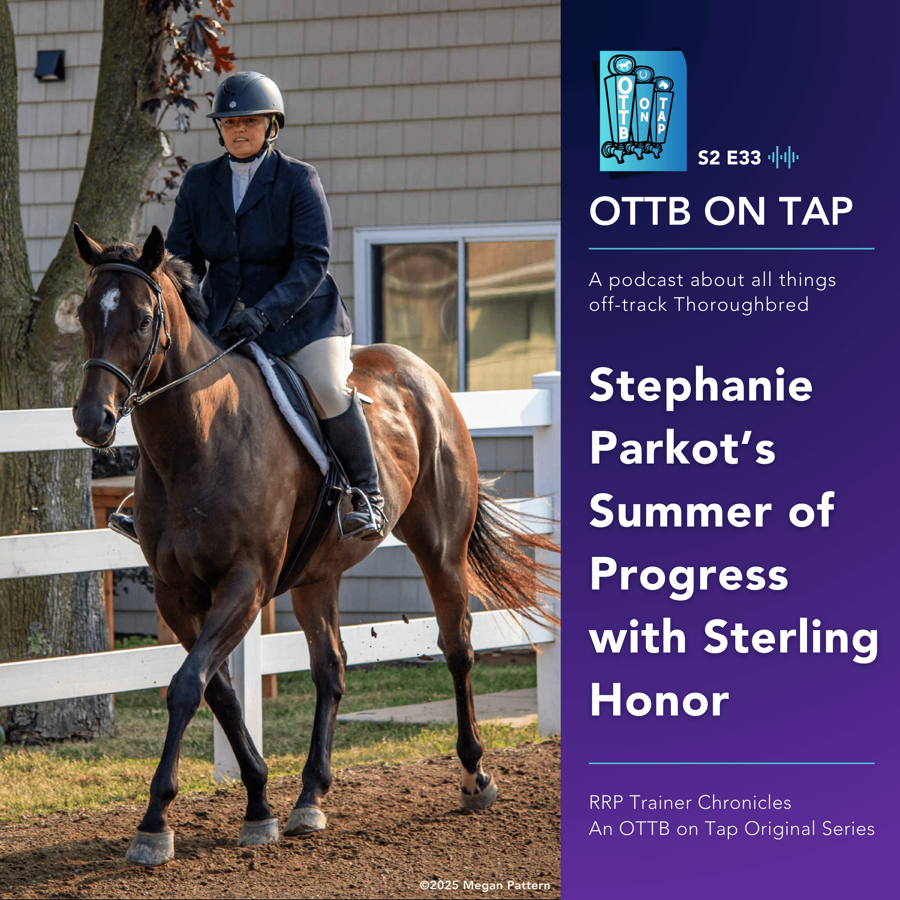 S2 E33: Stephanie Parkot's Summer of Progress with Sterling Honor | RRP Trainer Chronicles
