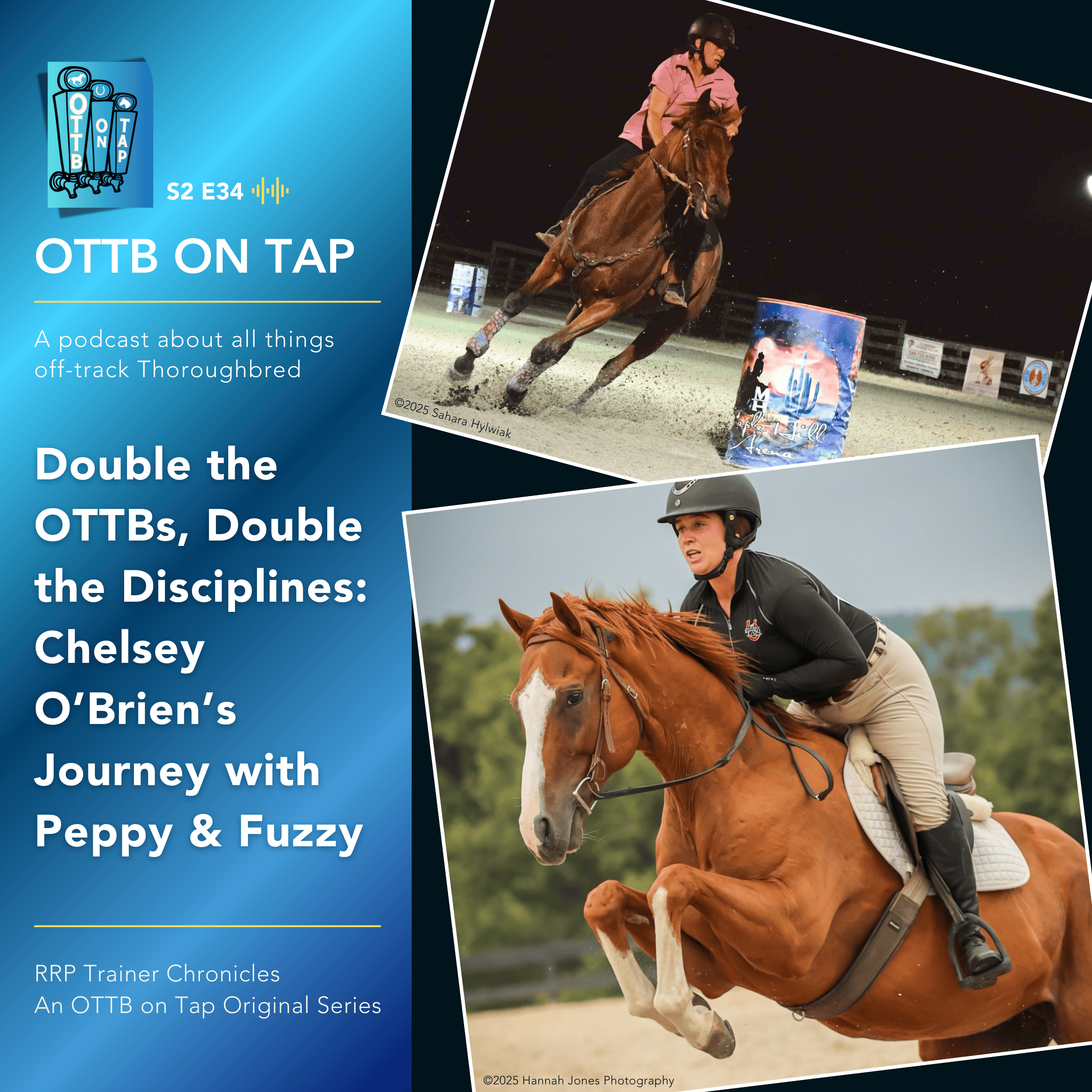 S2 E34 | Double the OTTBs, Double the Disciplines: Chelsey O’Brien’s Journey with Peppy & Fuzzy | RRP Trainer Chronicles S2 E34 | Double the OTTBs, Double the Disciplines: Chelsey O’Brien’s Journey with Peppy & Fuzzy | RRP Trainer Chronicles