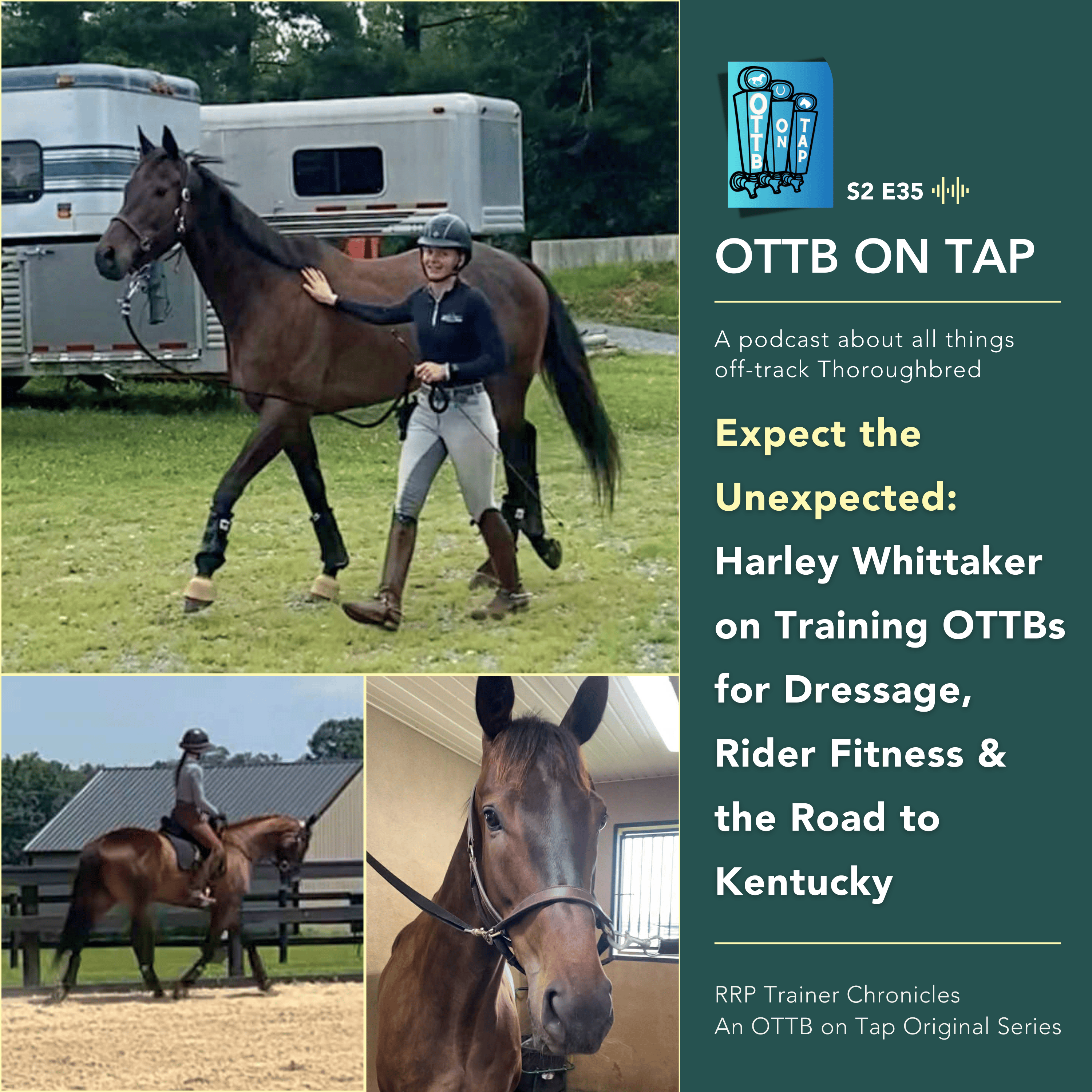 S2 E35: Expect the Unexpected: Harley Whittaker on Training OTTBs for Dressage, Rider Fitness & the Road to Kentucky | RRP Trainer Chronicles S2 E35: Expect the Unexpected: Harley Whittaker on Training OTTBs for Dressage, Rider Fitness & the Road to Kentucky | RRP Trainer Chronicles