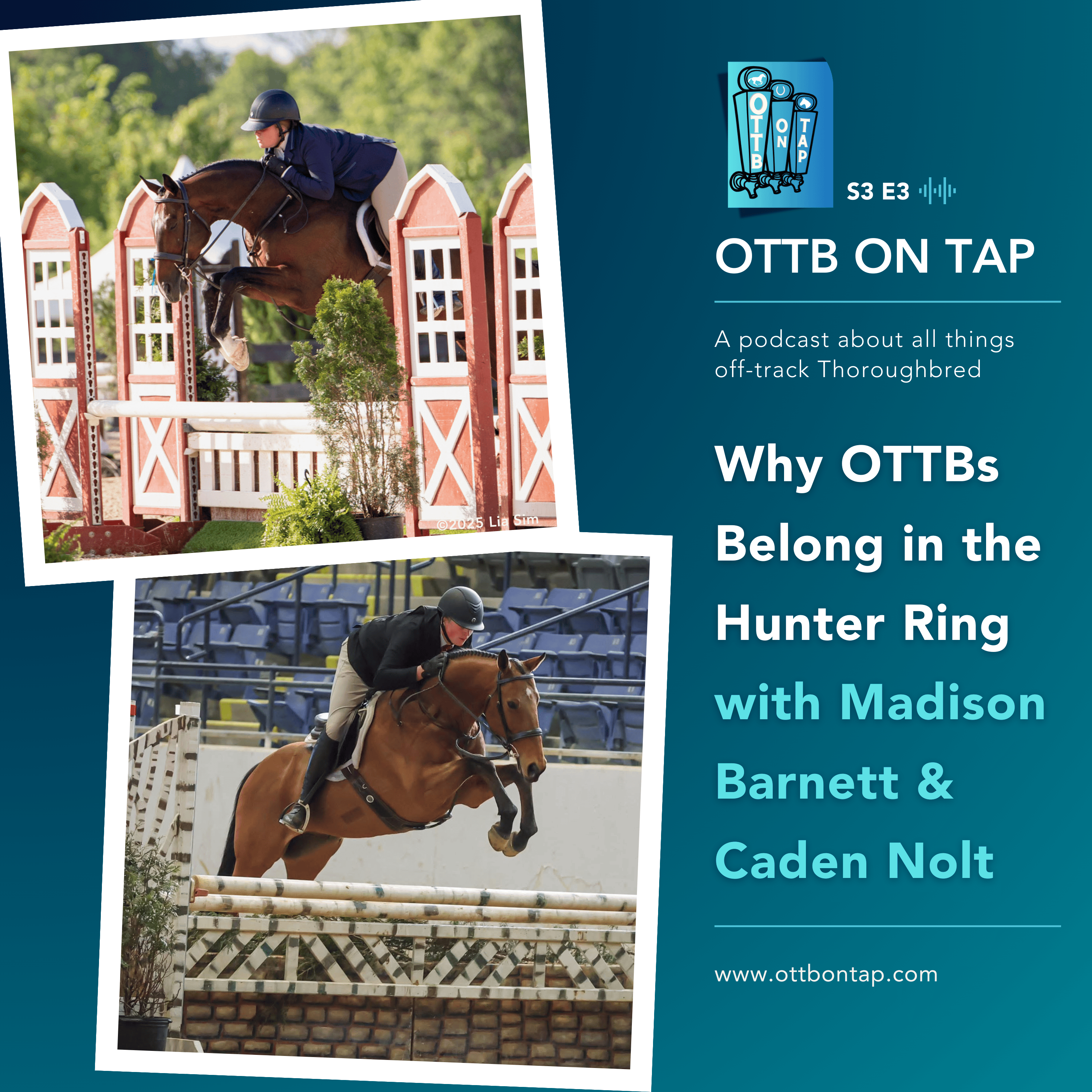 OTTB on Tap