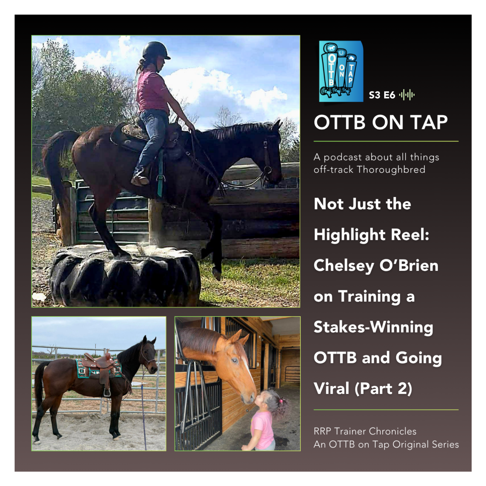 S3 E6: Not Just the Highlight Reel: Chelsey O’Brien on Training a Stakes-Winning OTTB and Going Viral (Part 2) S3 E6: Not Just the Highlight Reel: Chelsey O’Brien on Training a Stakes-Winning OTTB and Going Viral (Part 2)