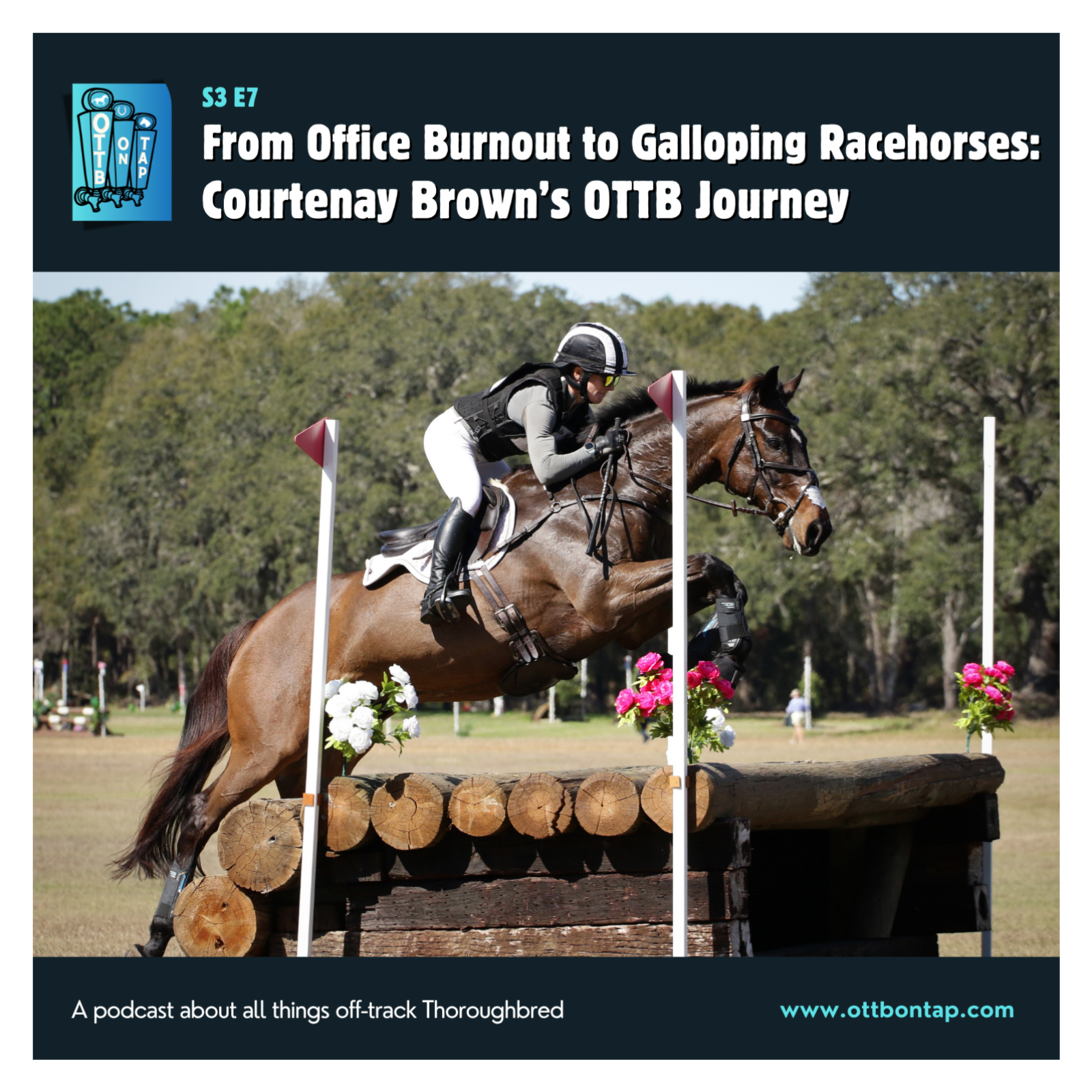 S3 E7: From Office Burnout to Galloping Racehorses: Courtenay Brown's OTTB Journey