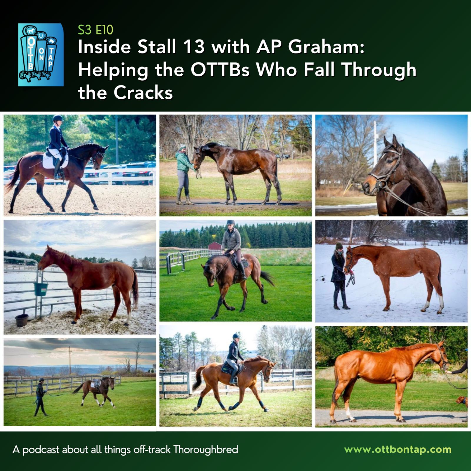 S3 E10: Inside Stall 13 with AP Graham: Helping the OTTBs Who Fall Through the Cracks