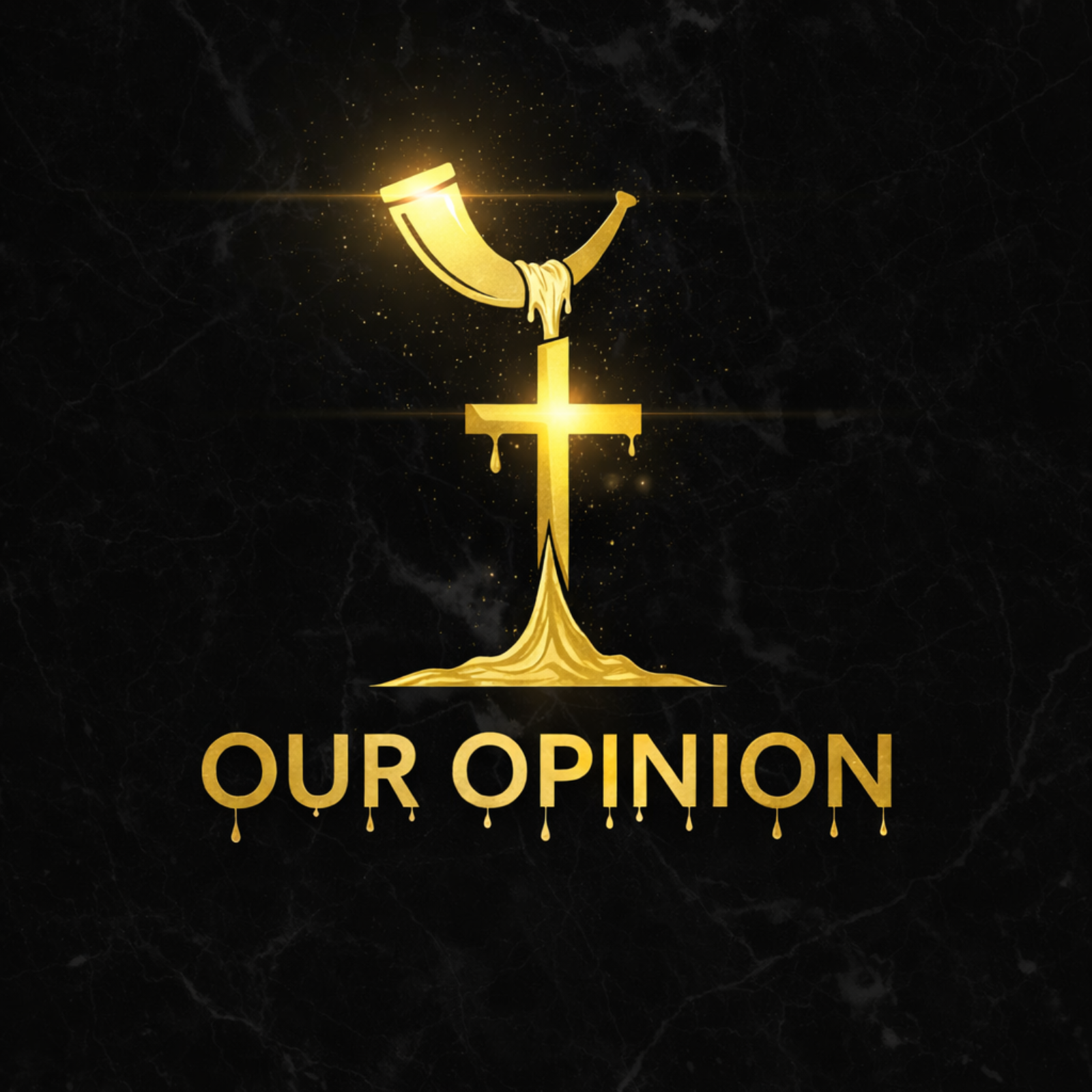 Our Opinion cover art