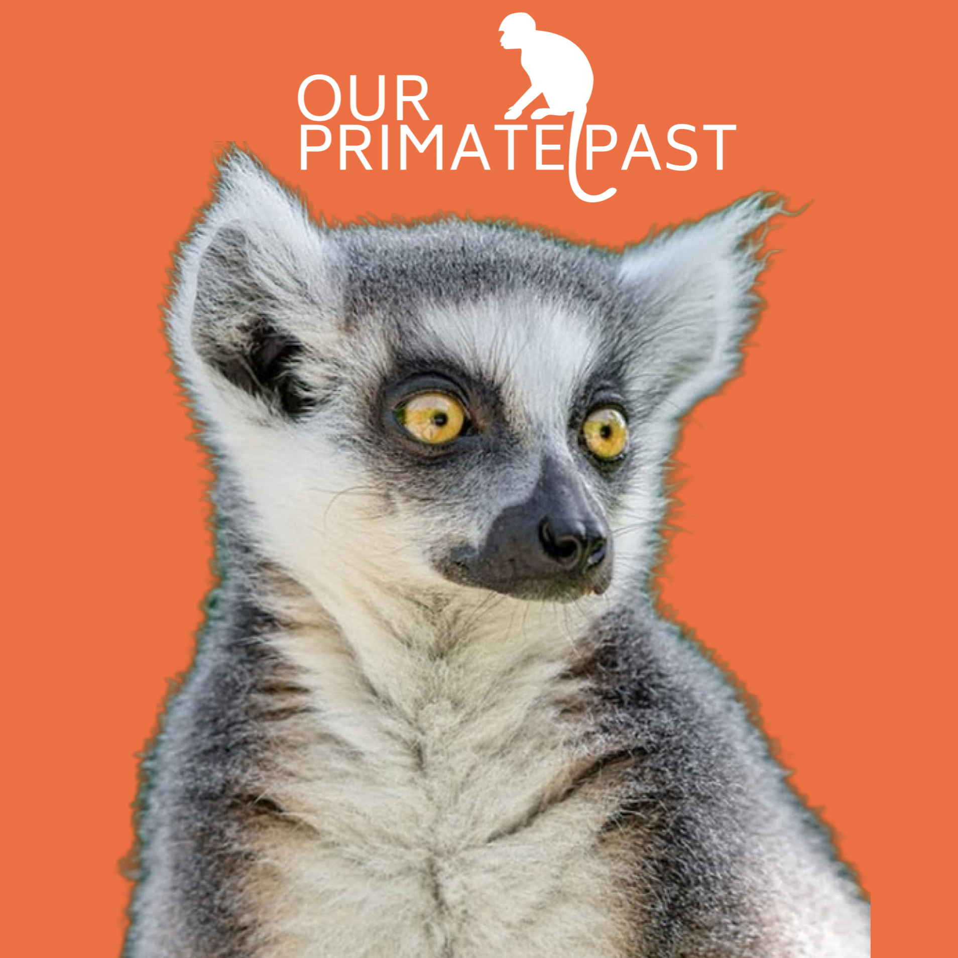 Our Primate Past