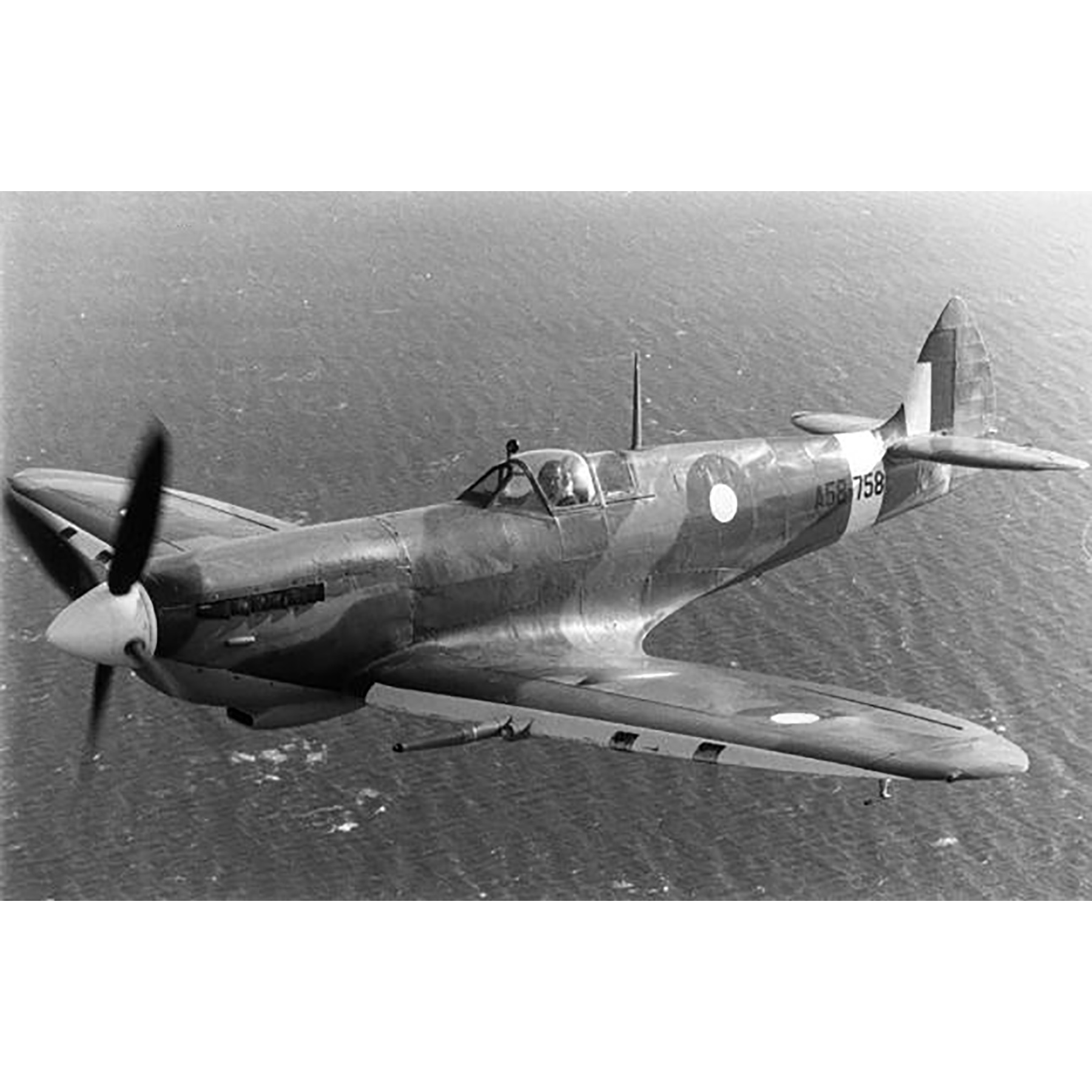 Our Wartime Heroes: firsthand stories from men and women who were there