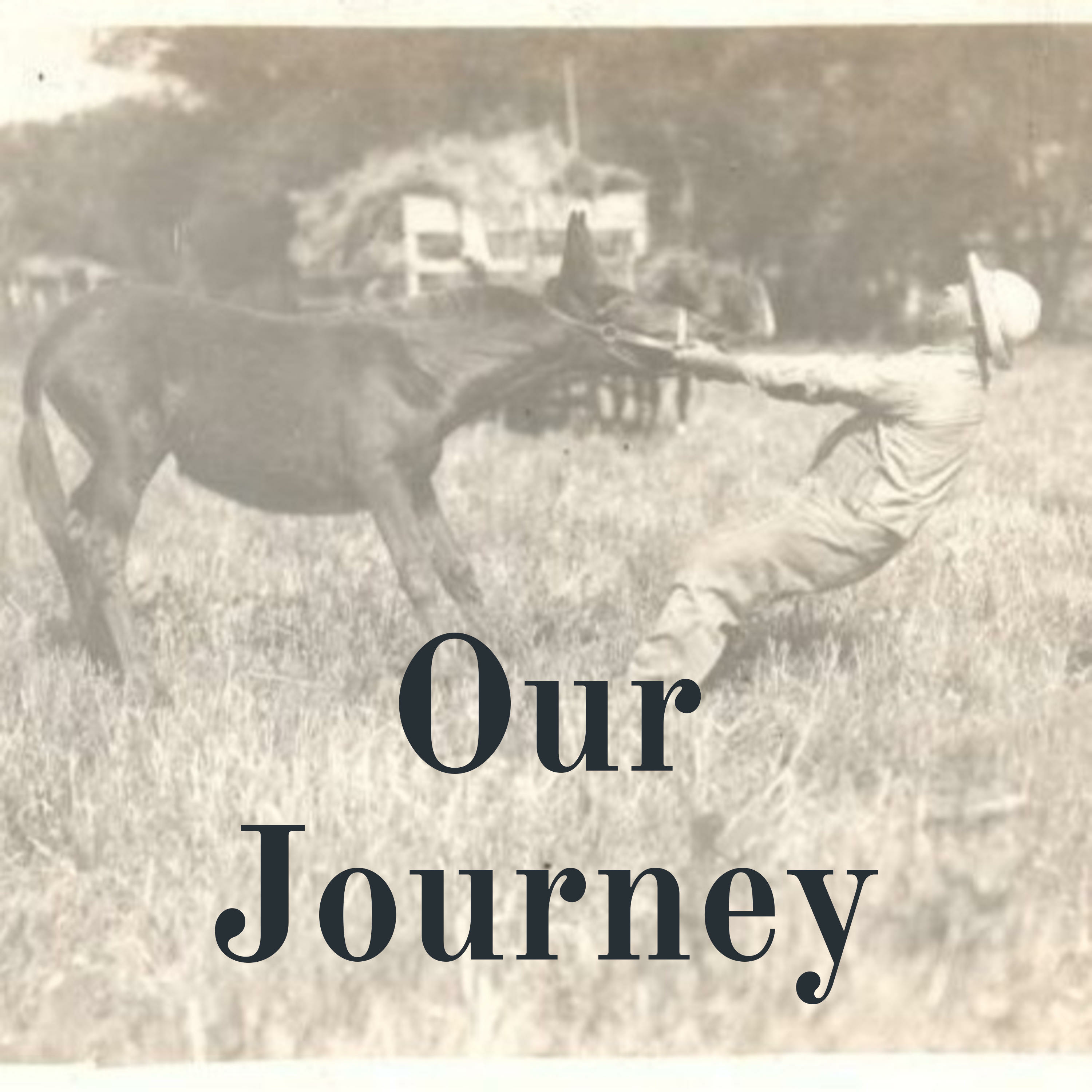 Our Journey
