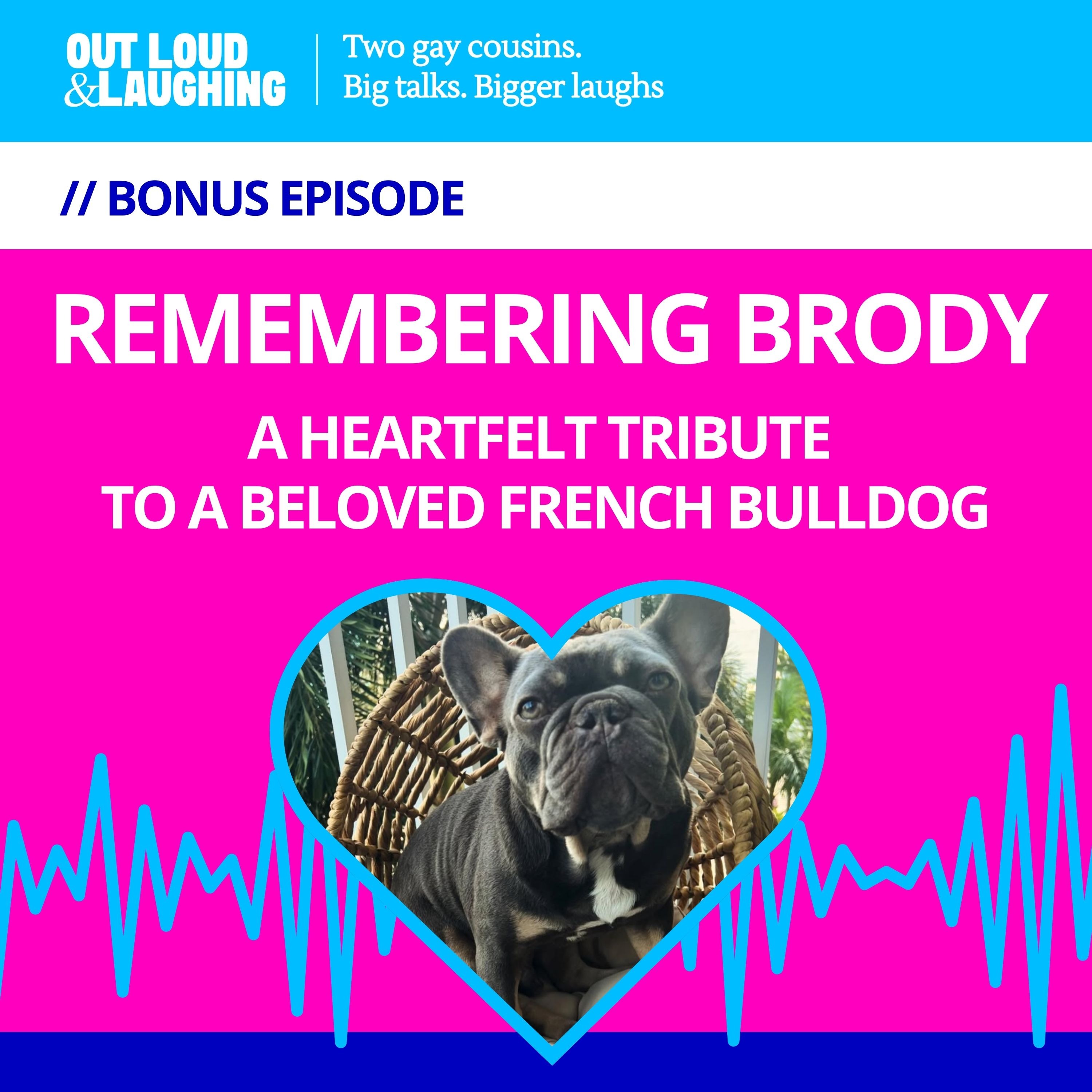 Remembering Brody: A Heartfelt Tribute to a Beloved French Bulldog