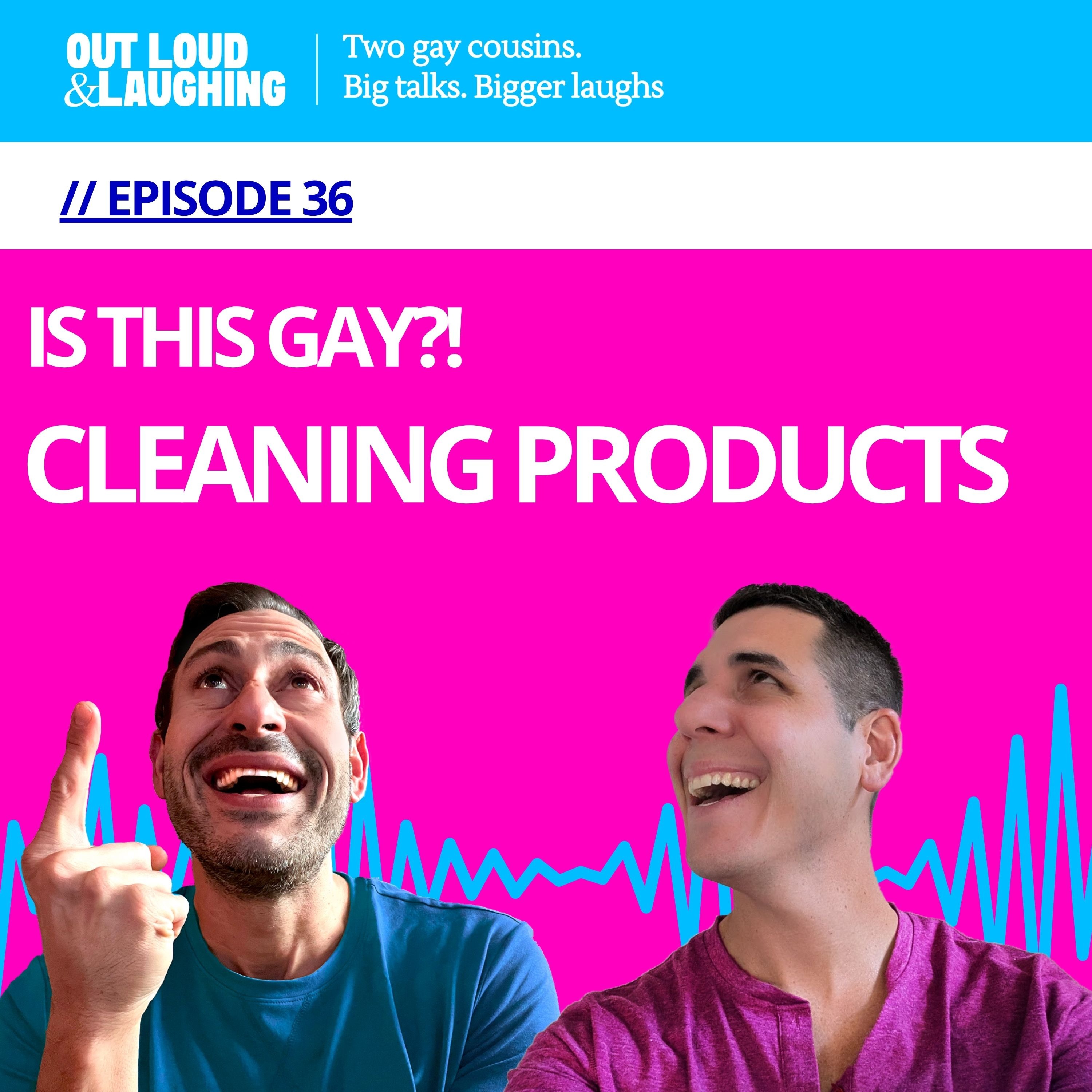 Out Loud and Laughing: Gay or Straight? Cleaning Products Edition