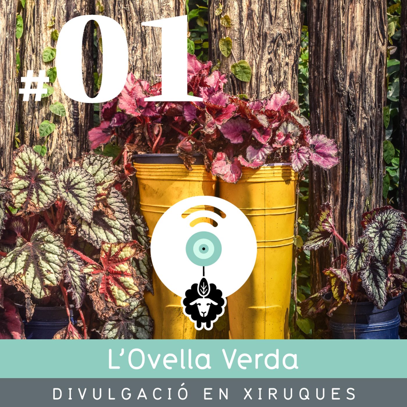 L’Ovella Verda