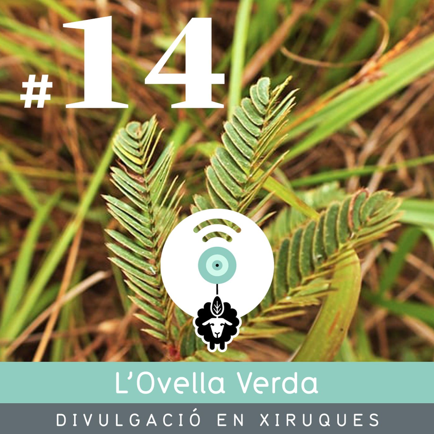 L’Ovella Verda