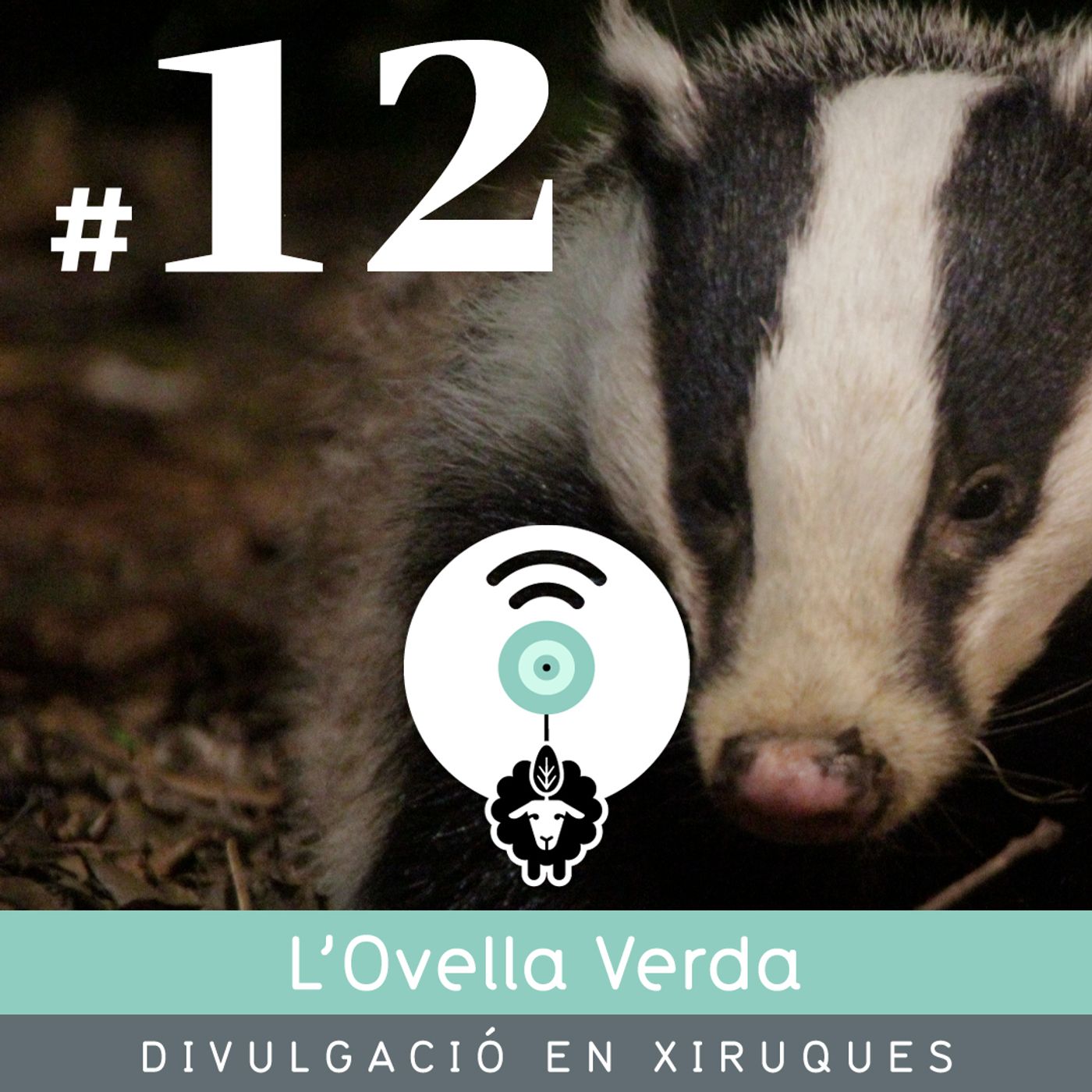 L’Ovella Verda