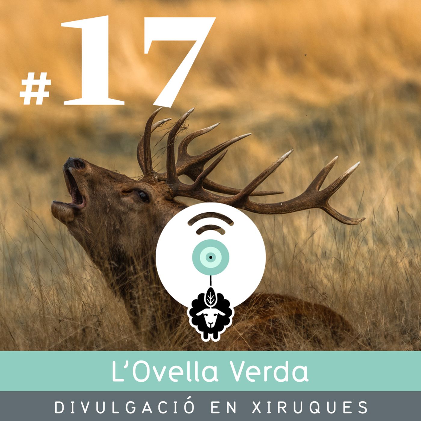 L’Ovella Verda