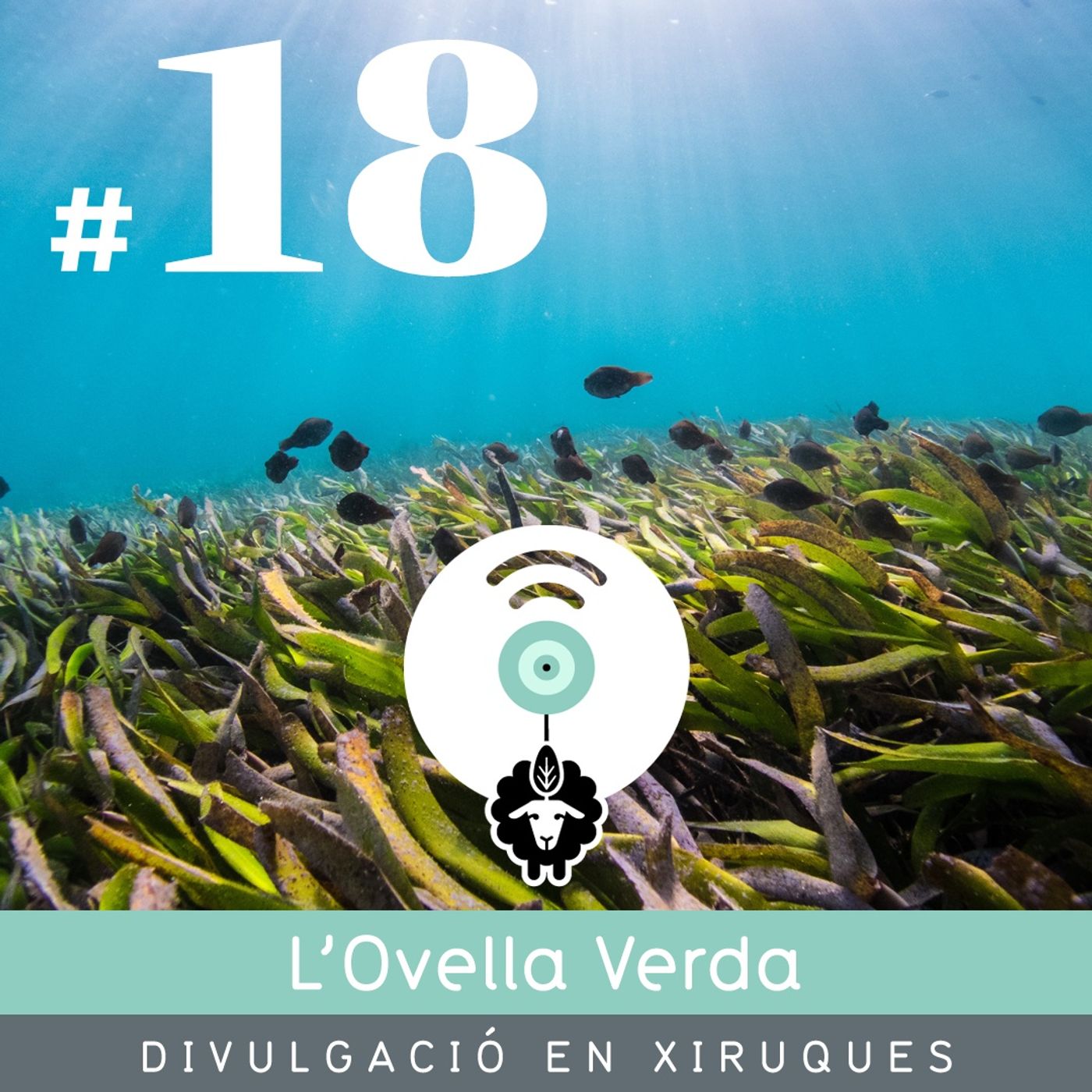 L’Ovella Verda