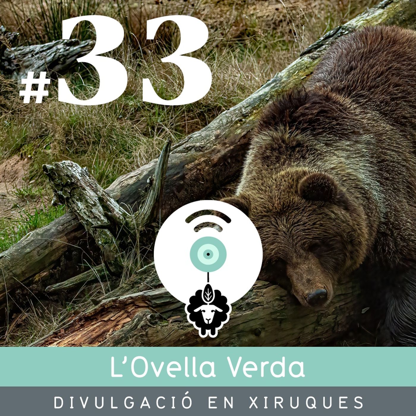 L’Ovella Verda