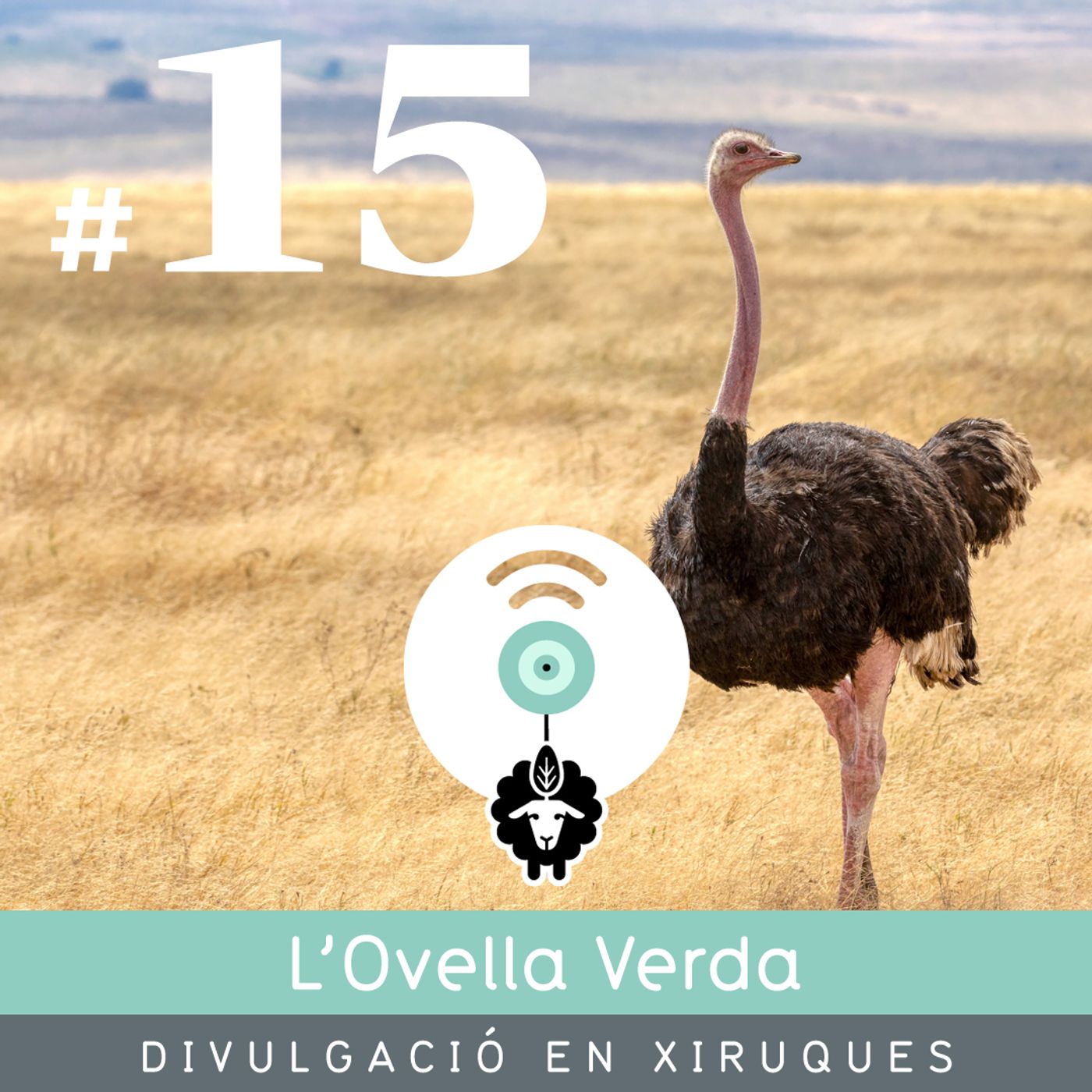 L’Ovella Verda