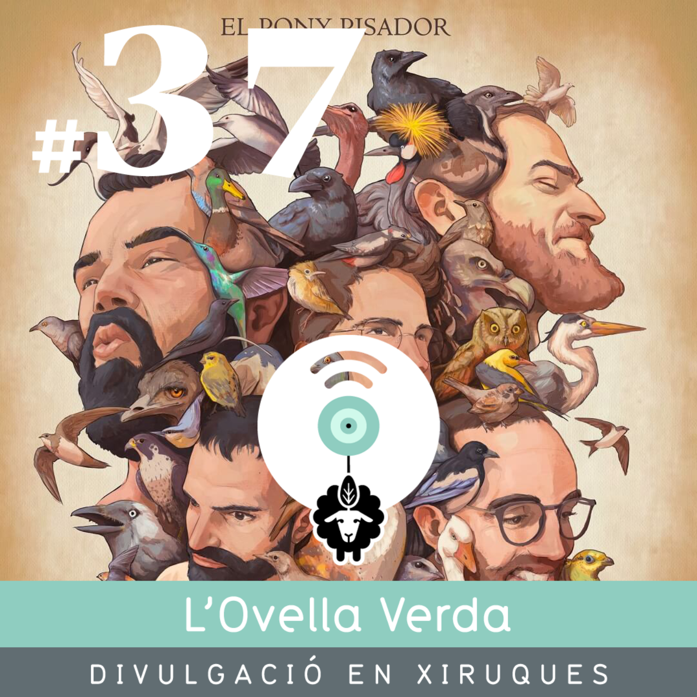 L’Ovella Verda