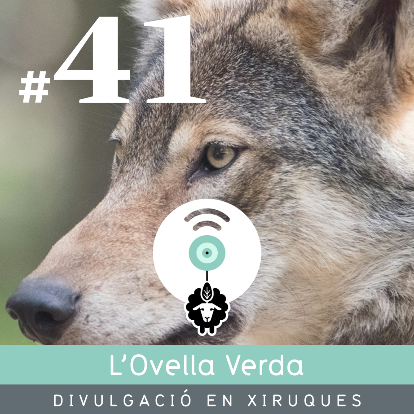 L’Ovella Verda