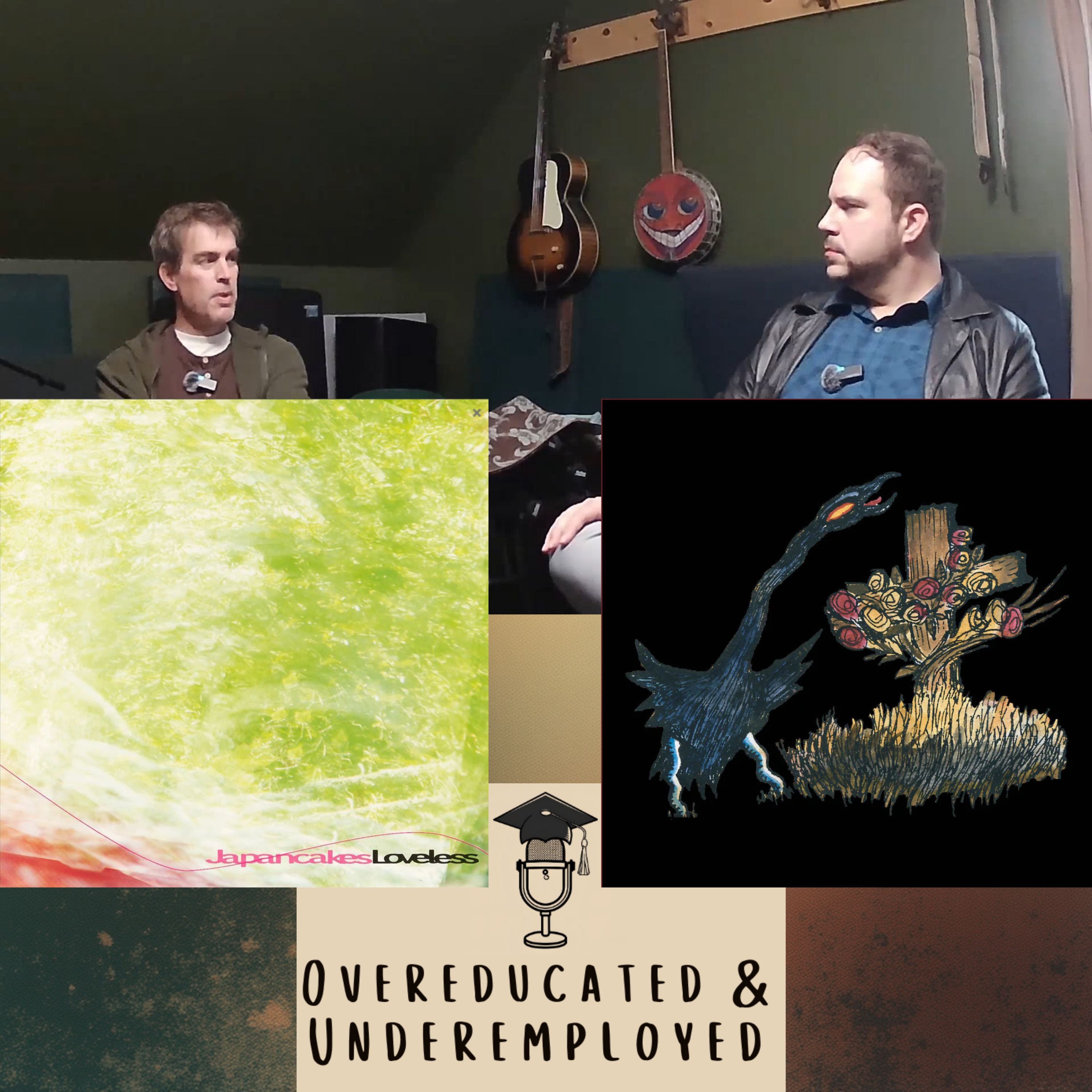 Overeducated and Underemployed