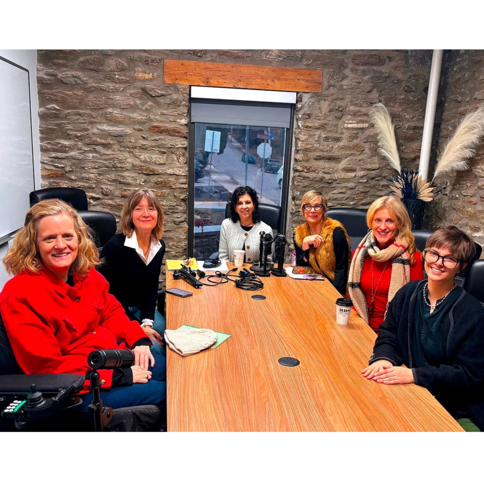 Access Means Justice featuring Lisa Sonneborn, Katie Samson, Shannon Brooks, and Victoria McGuigan episode artwork