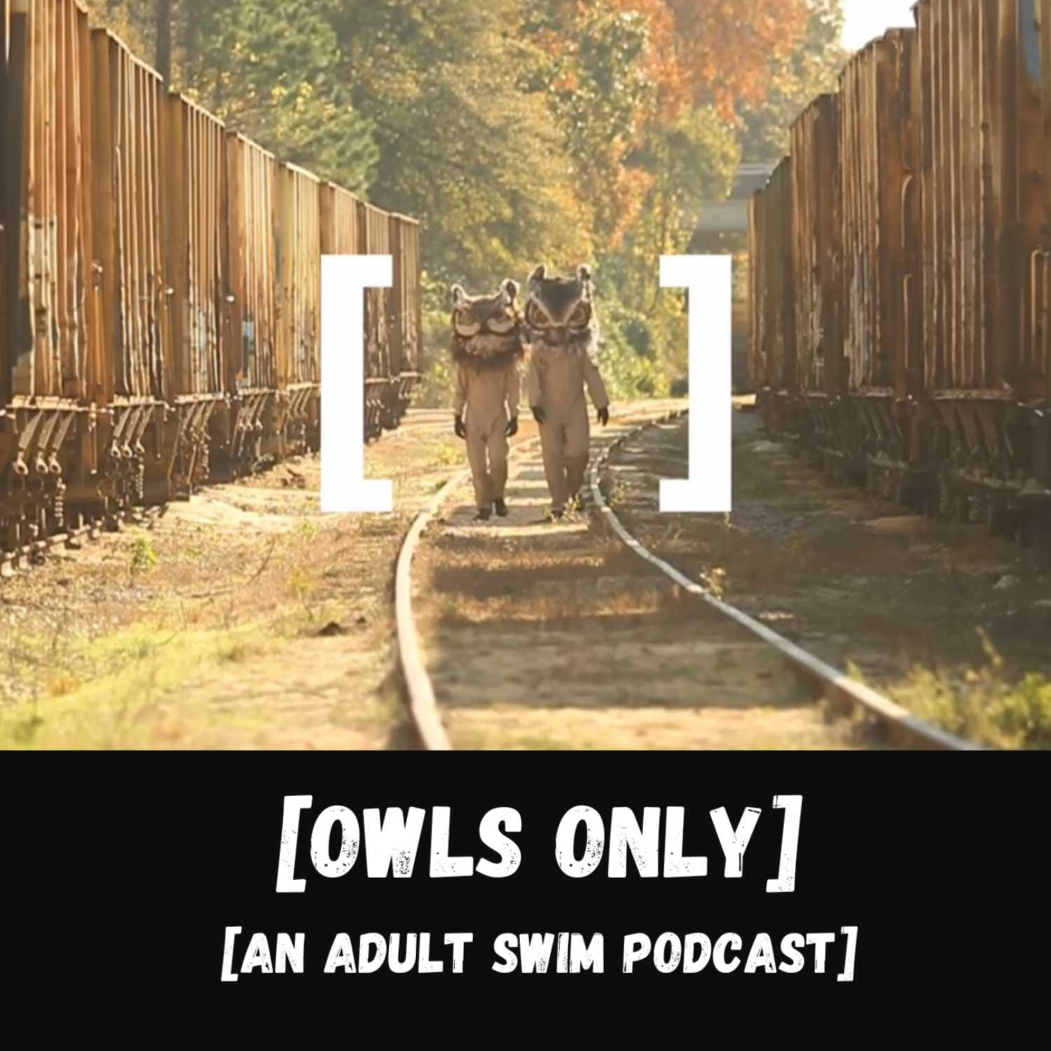 Owls Only: An Adult Swim Podcast