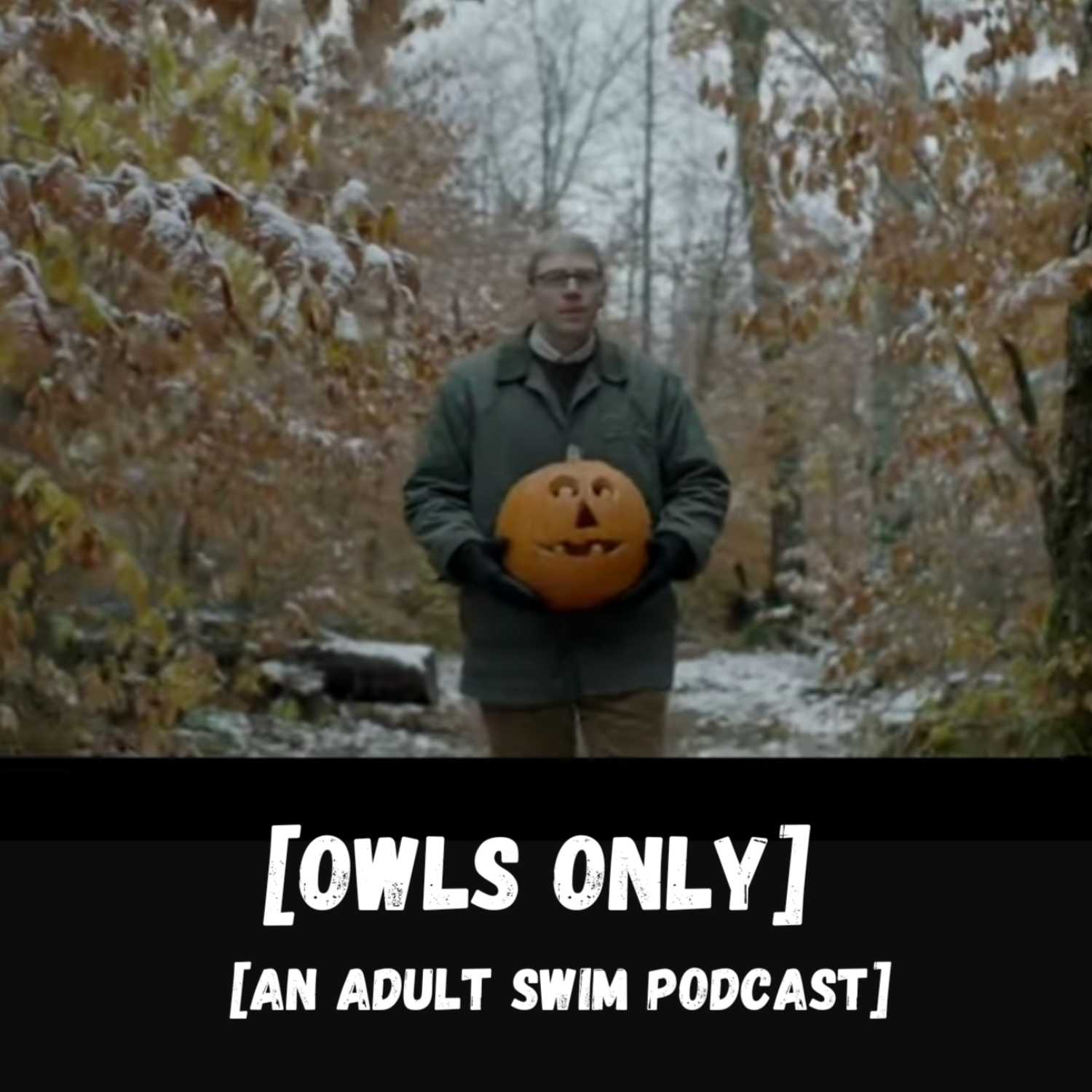 Owls Only: An Adult Swim Podcast