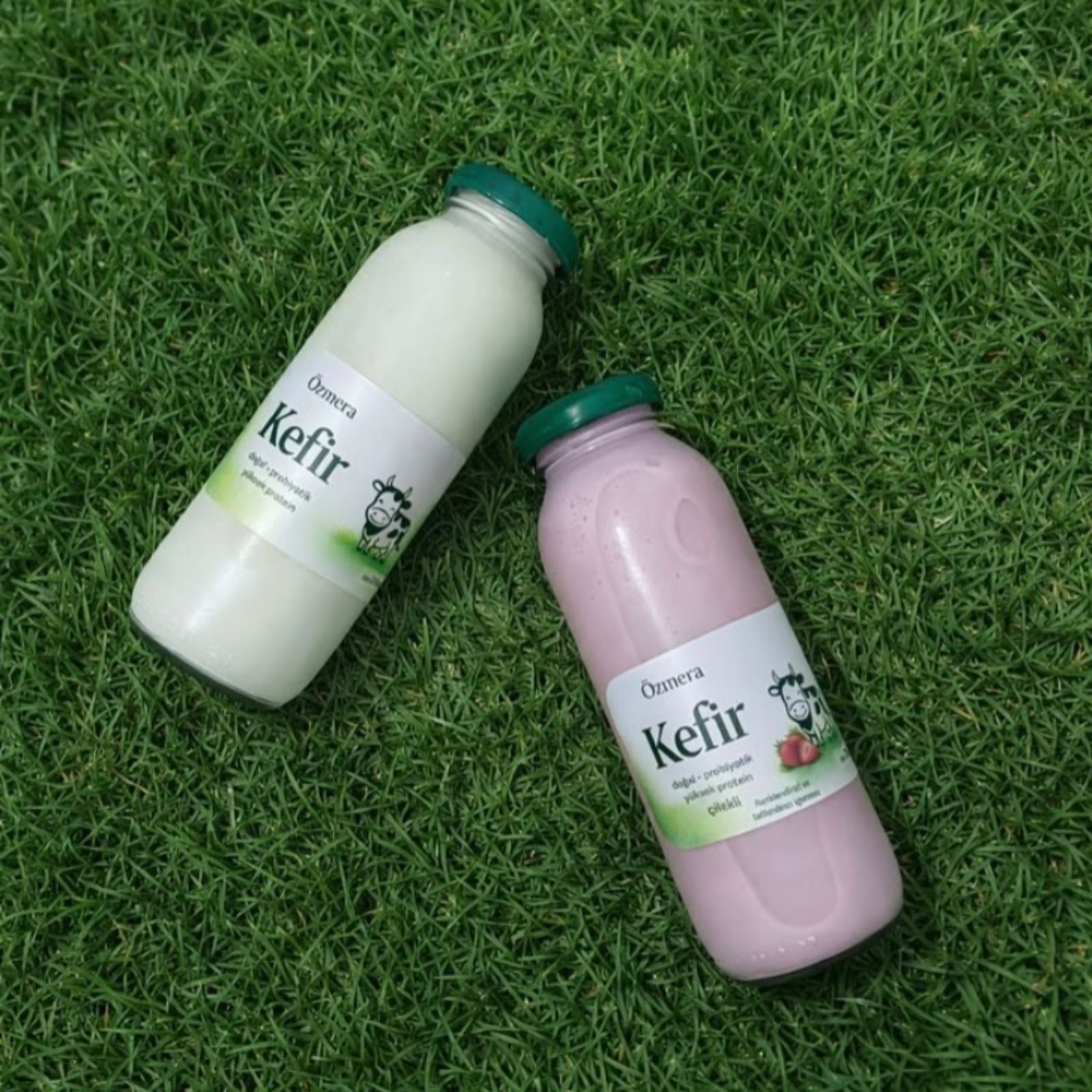 Özmera Kefir