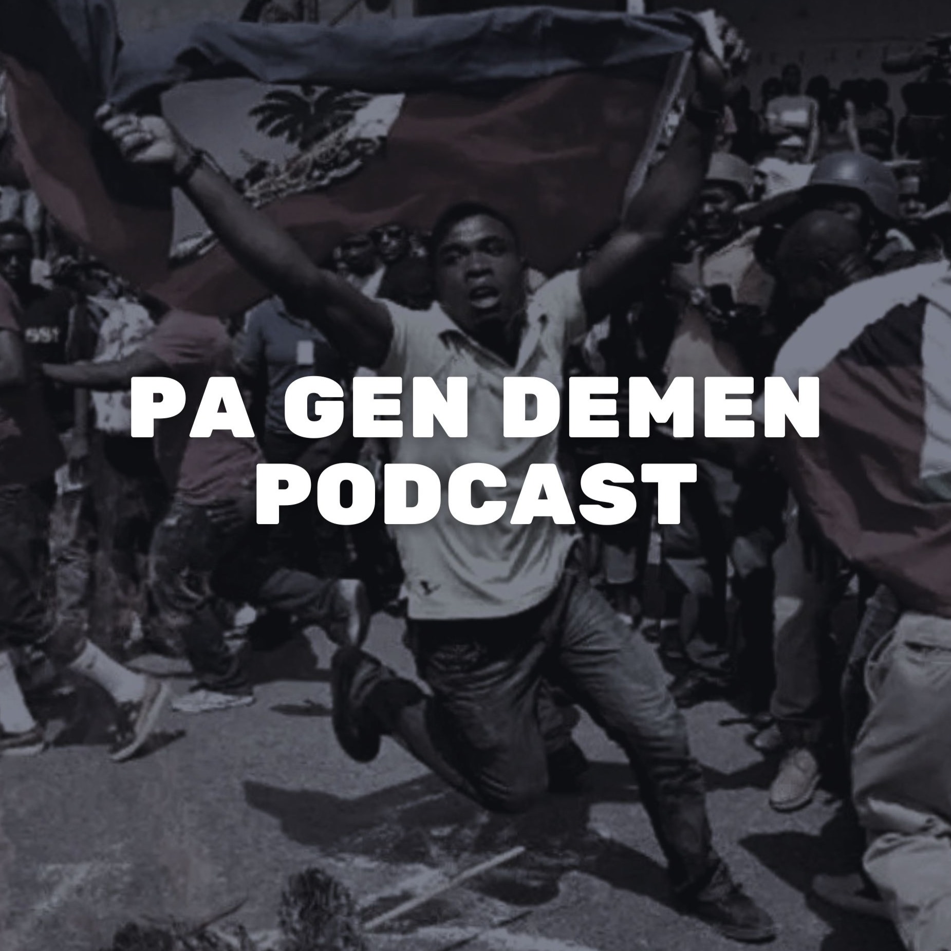 Yon gouvènans desantralize ka sispann kriz ekonomik peyi a episode artwork