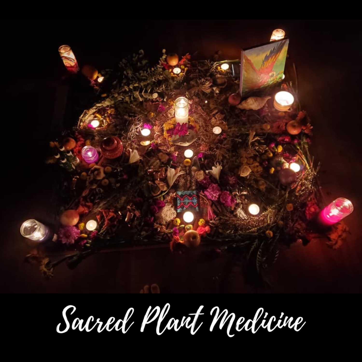 Pachamama Sacred Paths Podcast S1 - E2: Introduction to Sacred Plant Medicine Series 